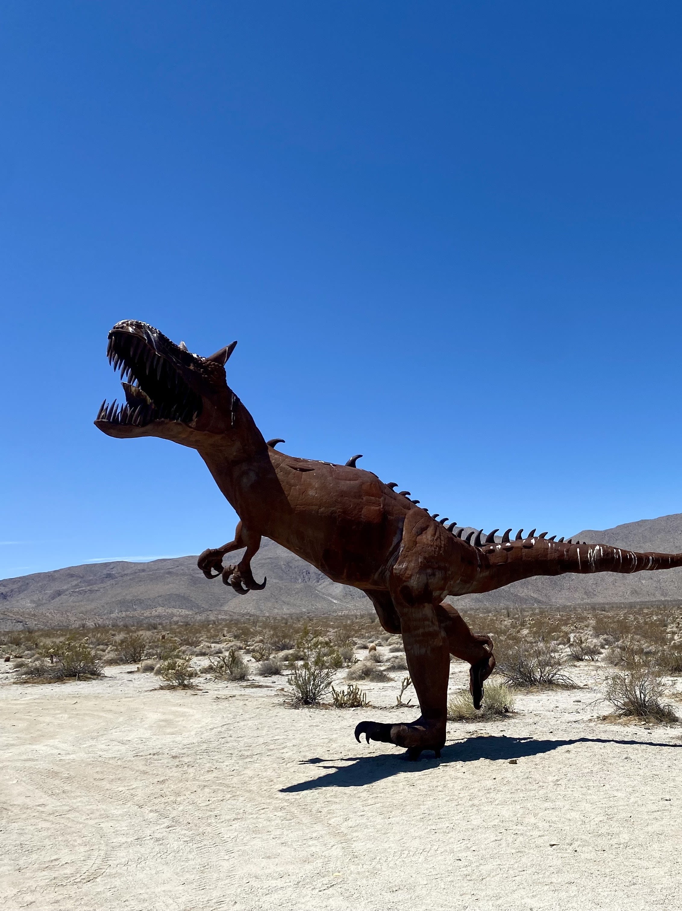 Advisor - Weekend in Borrego Springs, California