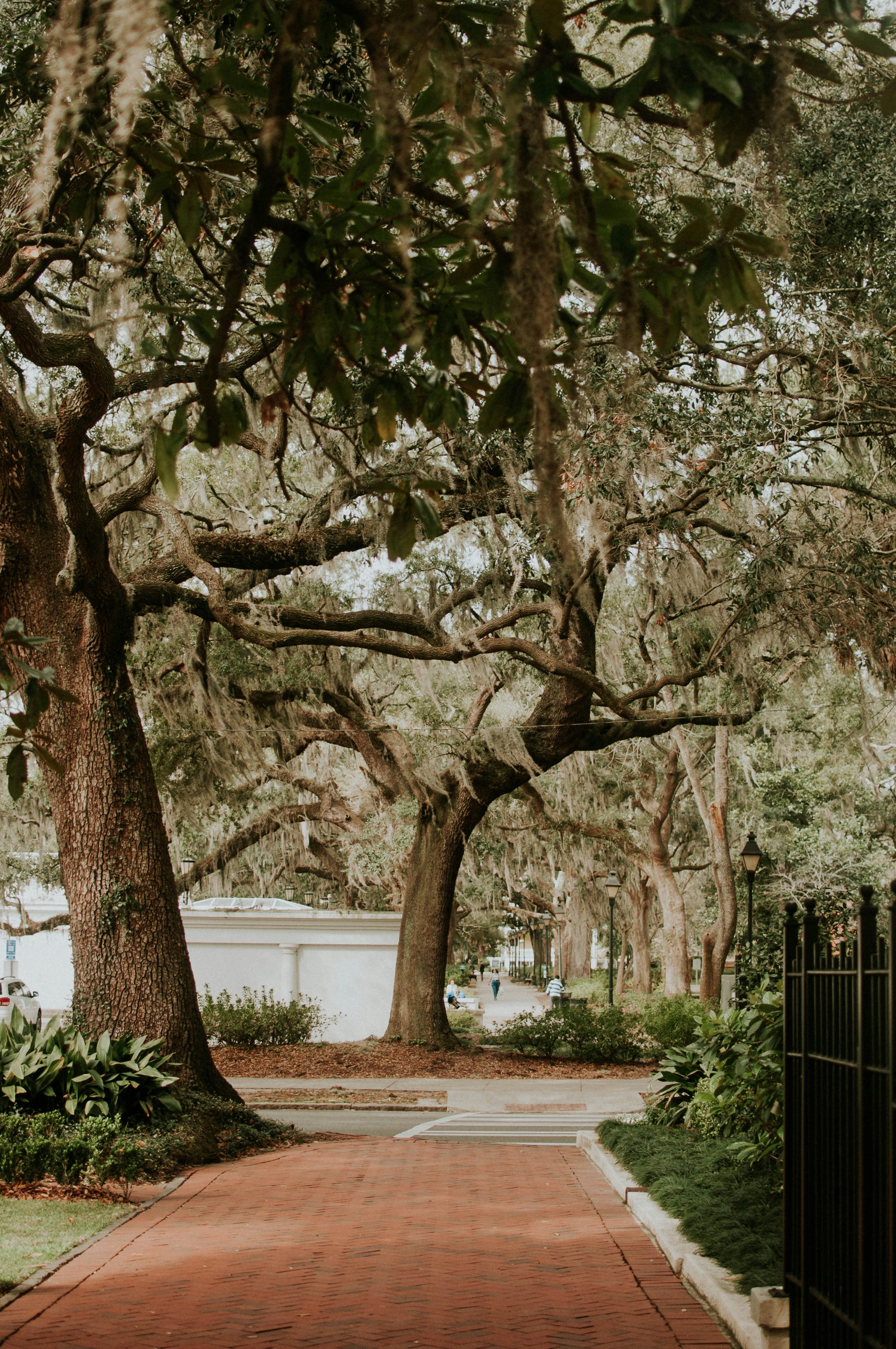 Advisor - Savannah: Where History, Haunts and Happy Hour Collide