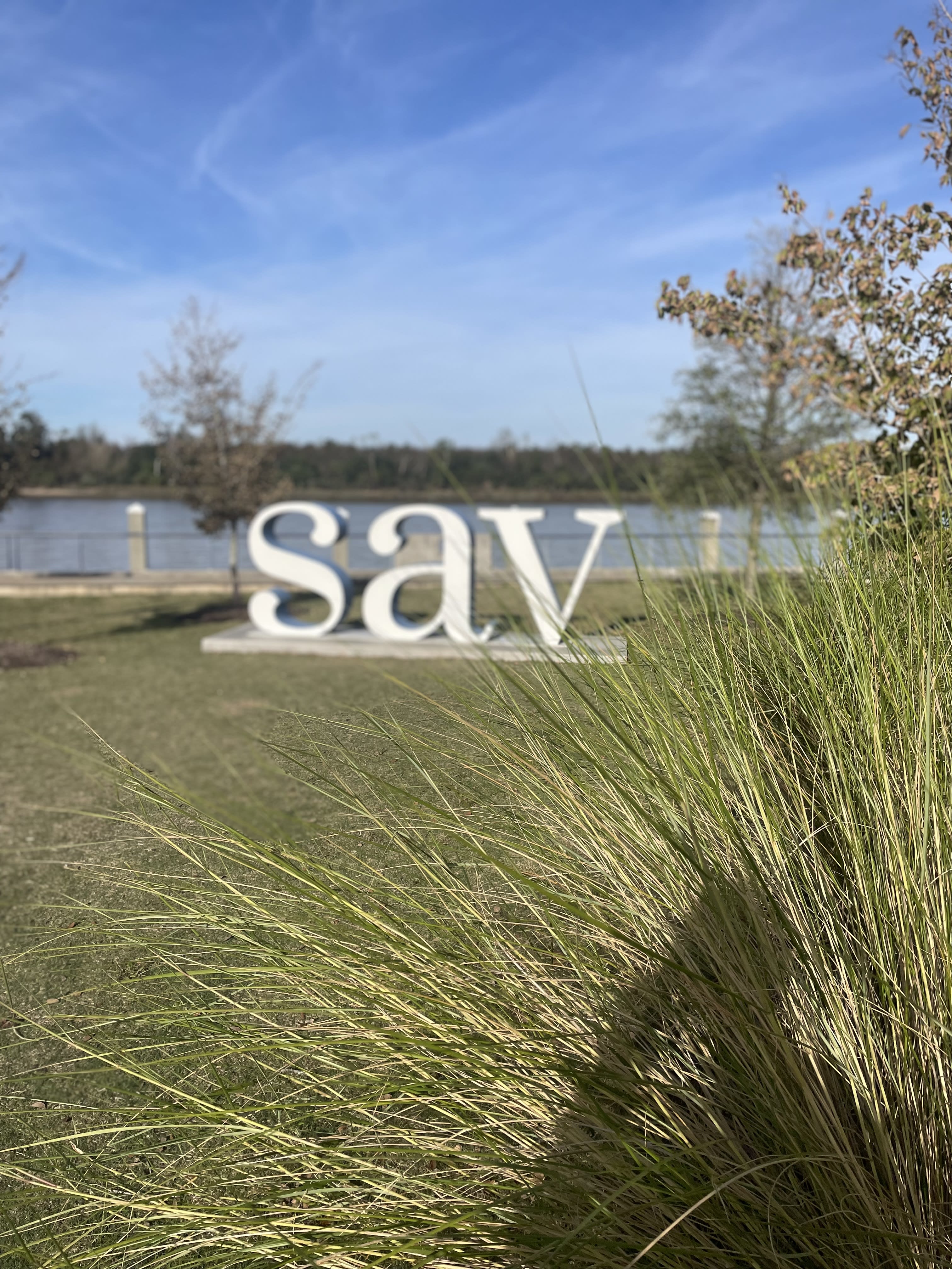 Advisor - 36 Hours (or more!) in Savannah, GA