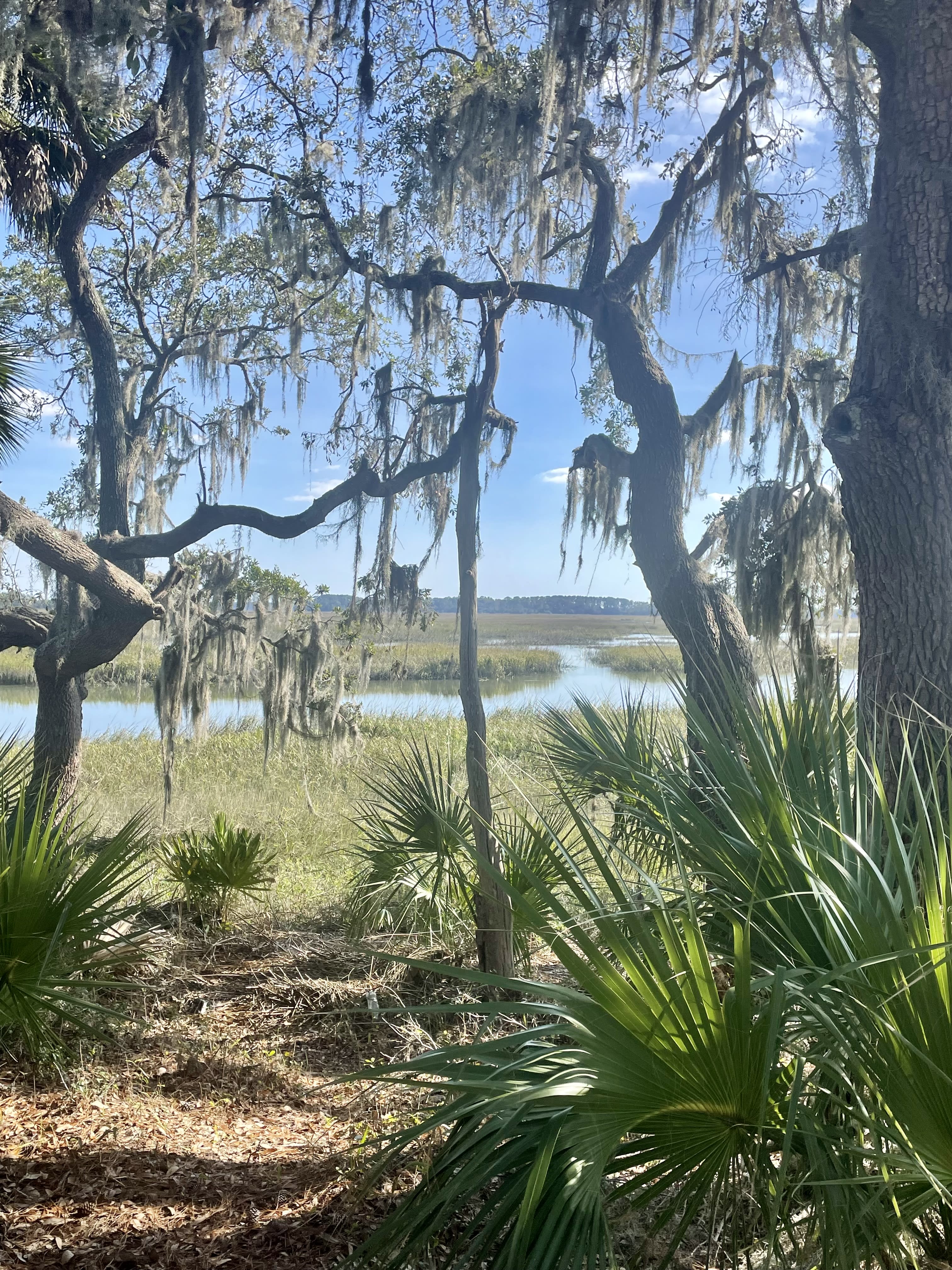 Site Inspection at Montage Palmetto Bluff 