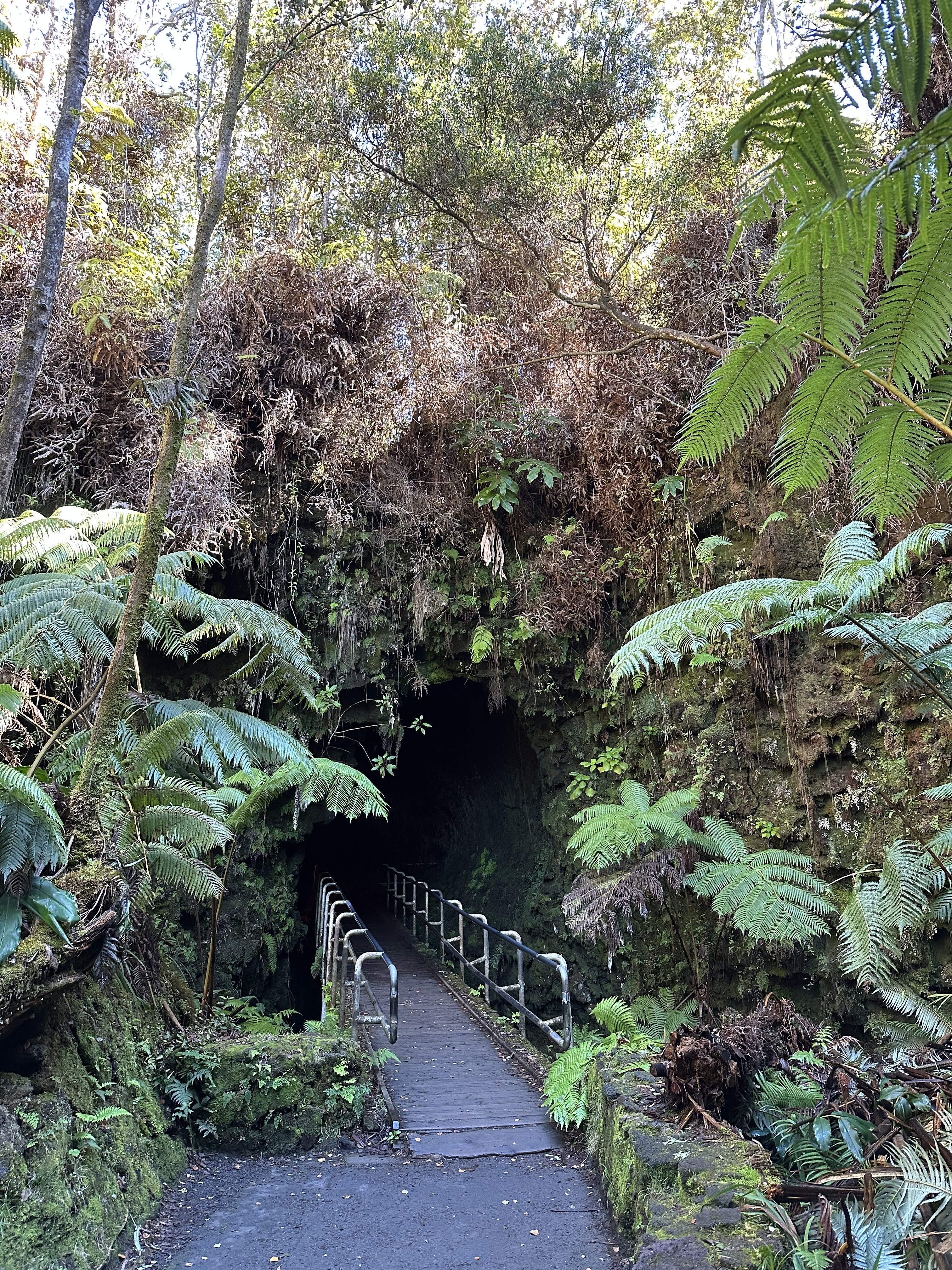 Advisor - 4-Day Itinerary for Visiting Kona, Hawai'i with Kids