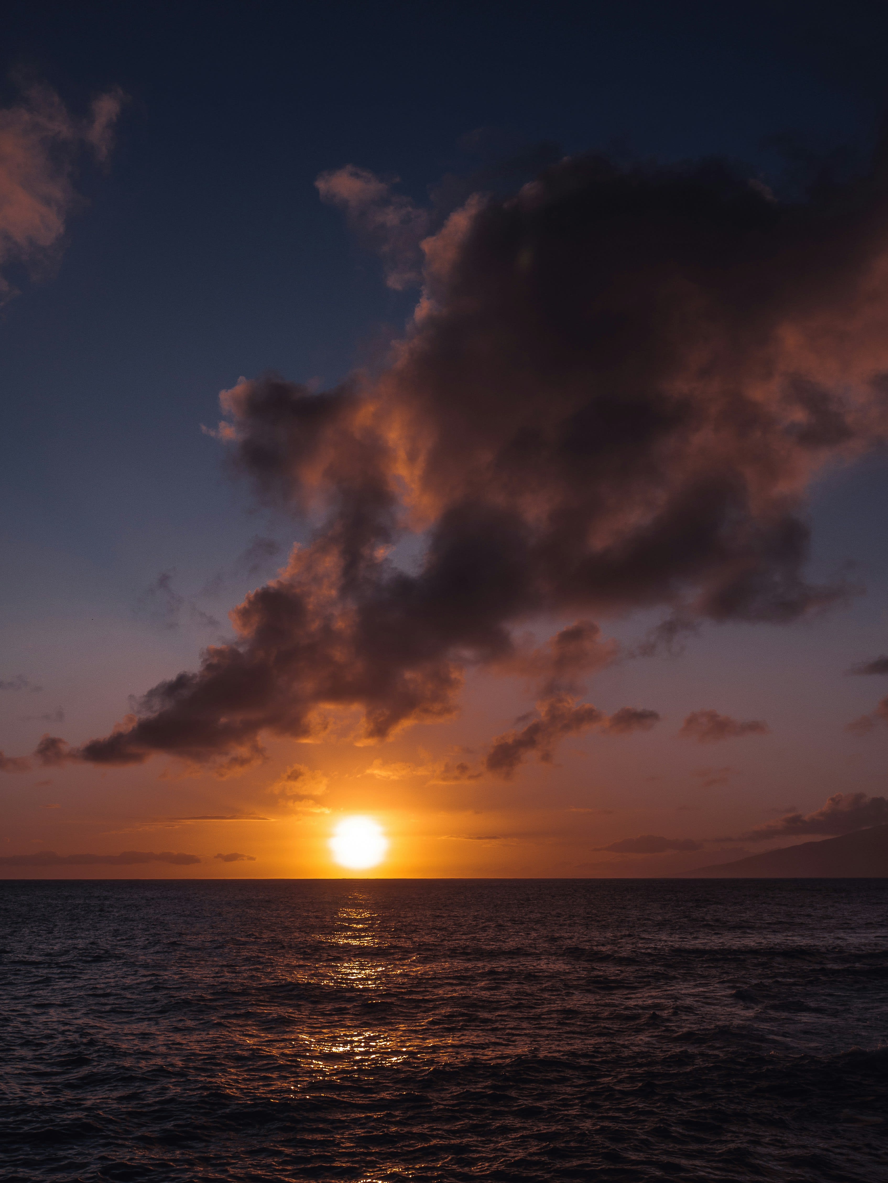 Advisor - Thanksgiving in Maui: I'm Grateful for Superb Snorkeling and Fantastic Food