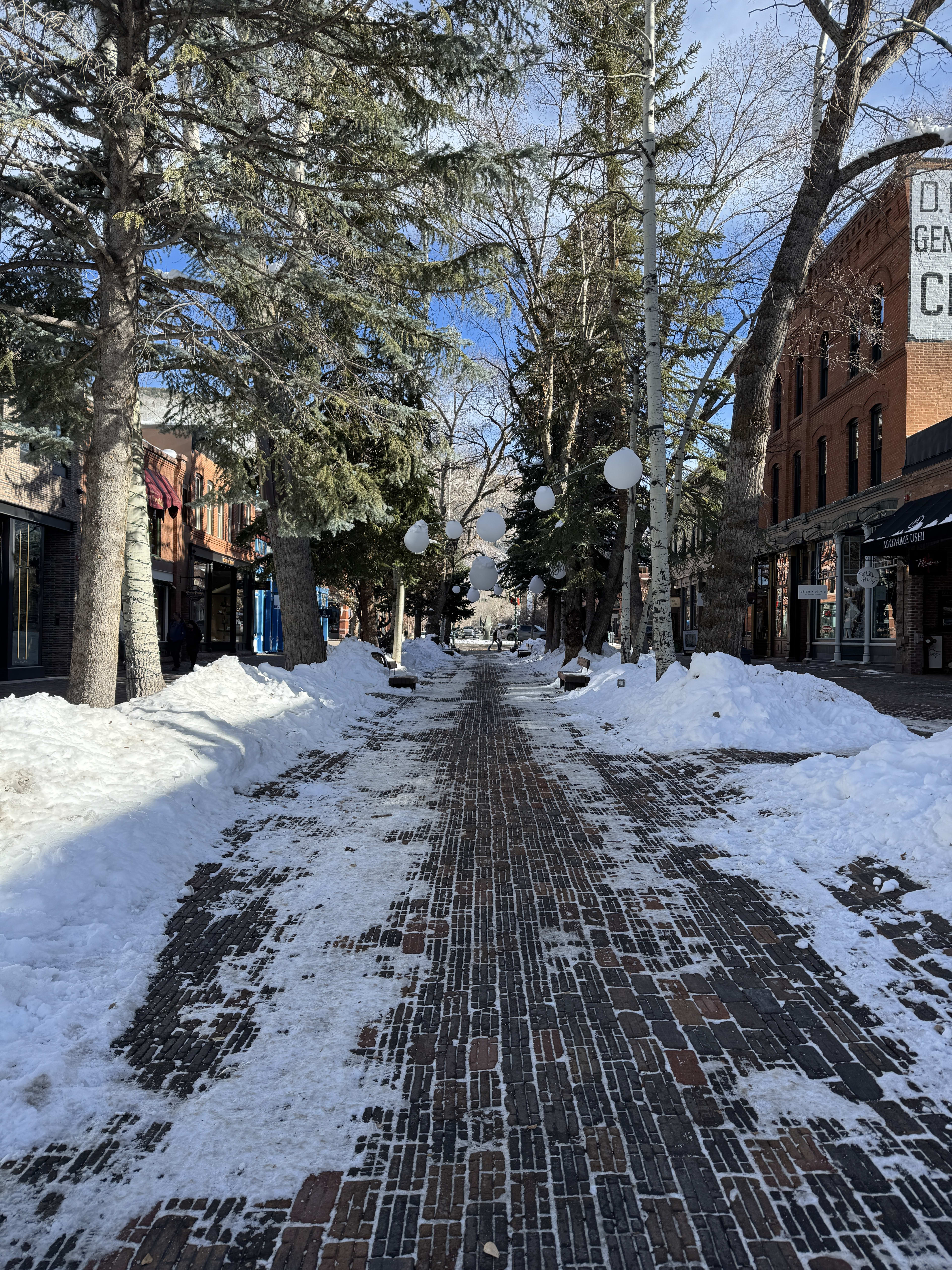 Advisor - Alpine Elegance: The Ultimate Aspen Girls' Getaway (No Skis Required)