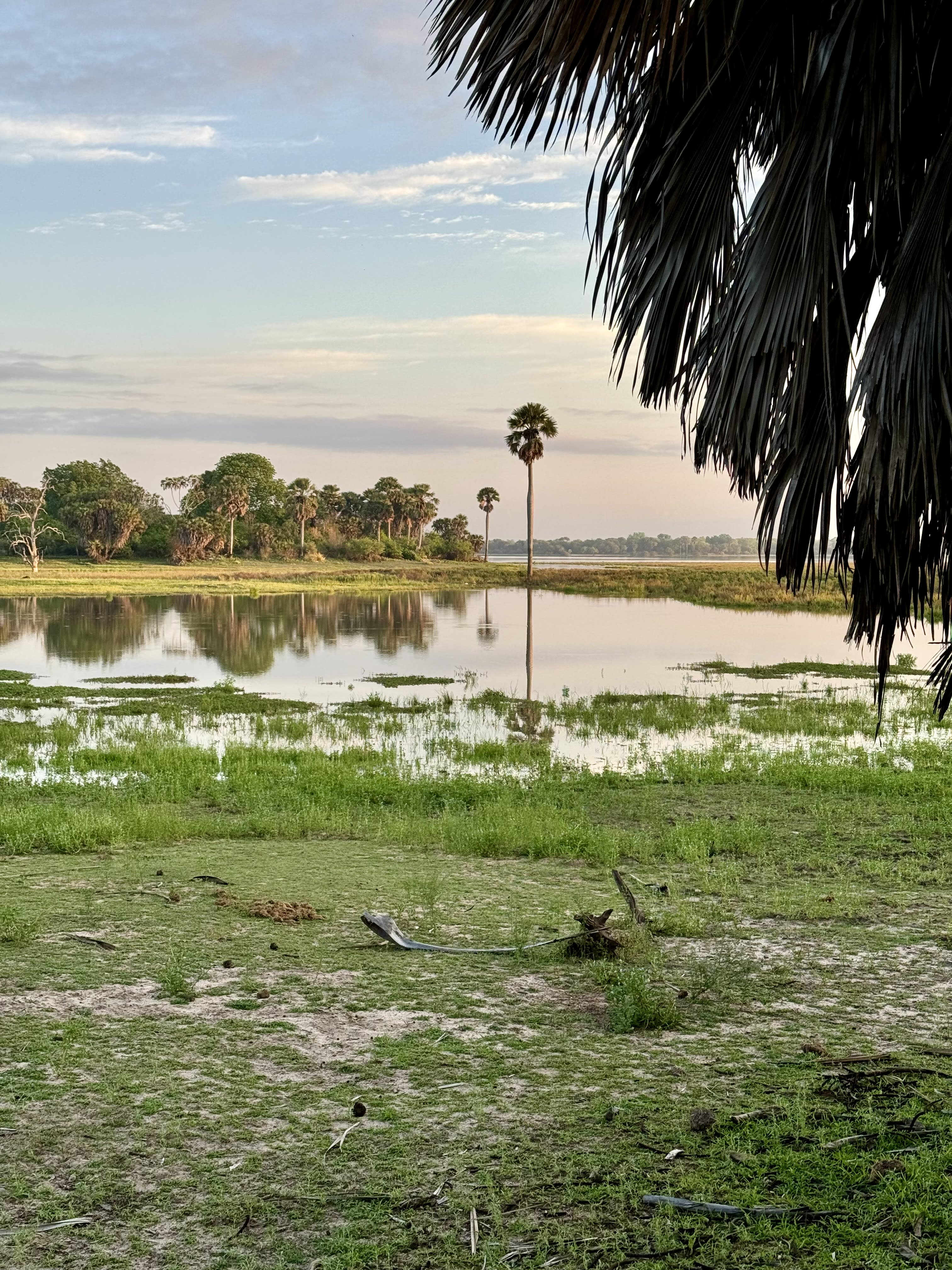 Catching Safari Fever: A Two-Week Journey Through Tanzania’s Southern Circuit
