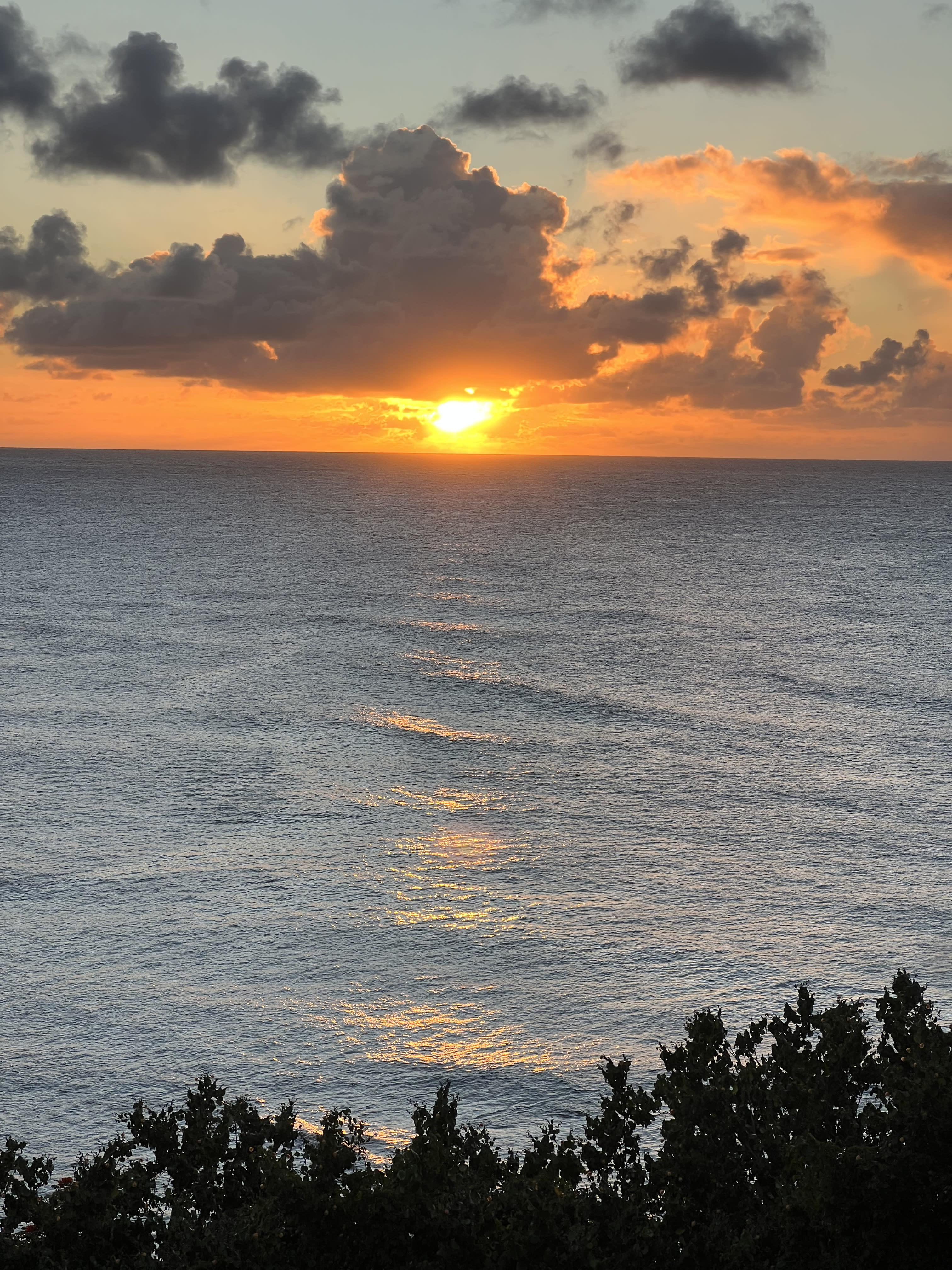 Eco-Friendly Island Luxury: 1 Hotel Hanalei Bay