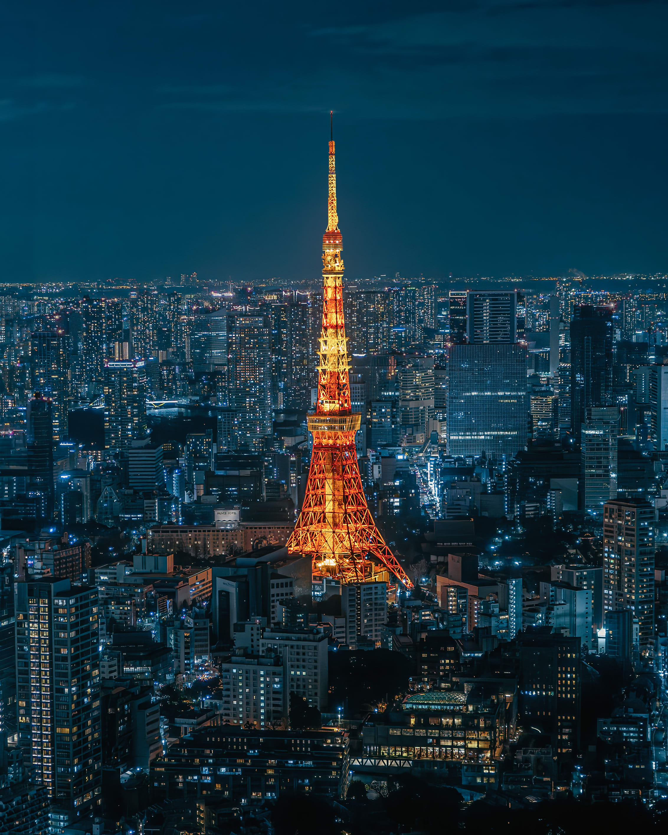 Advisor - 5 Days in Tokyo: From Neon Nights to Zen Mornings