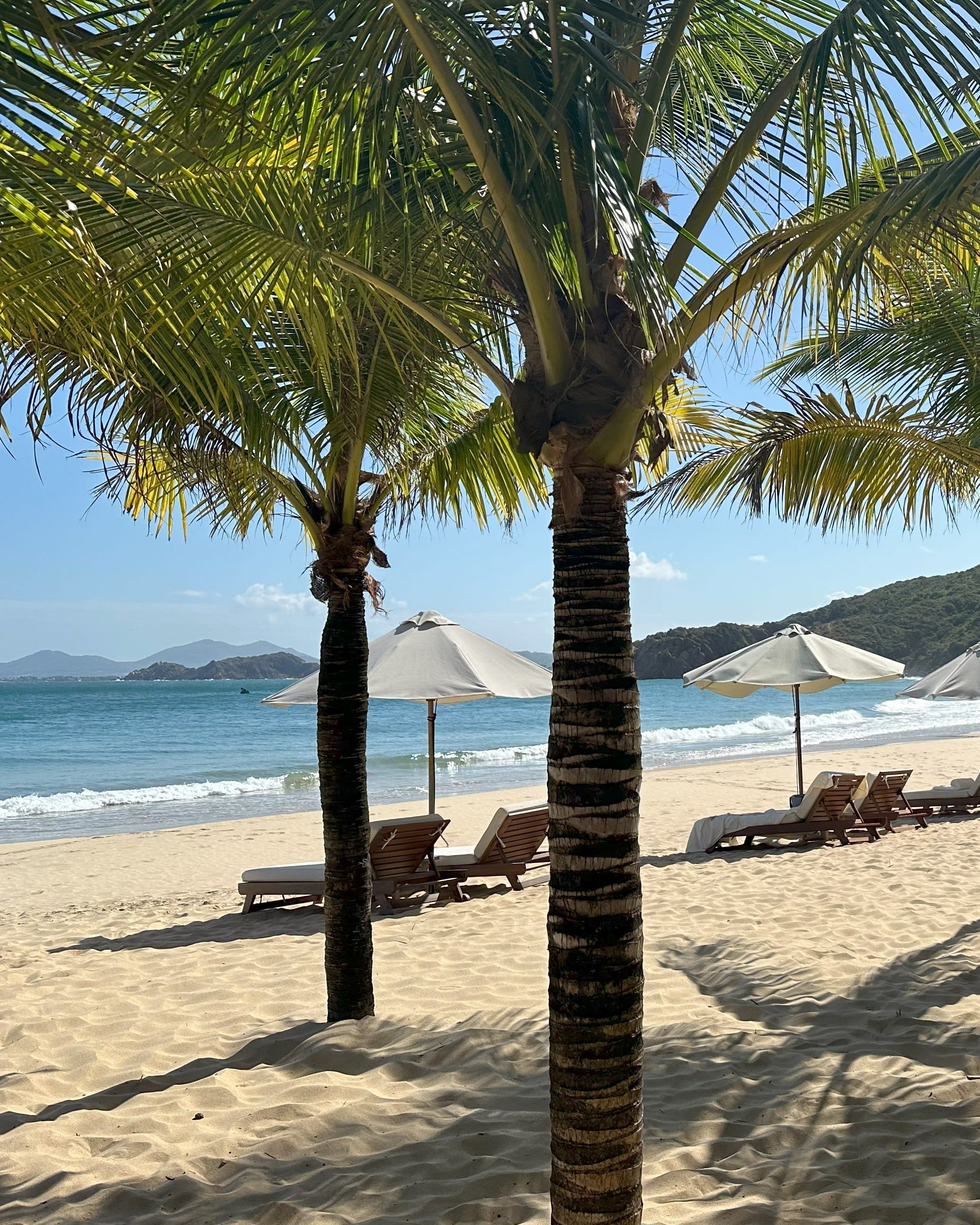 Zannier Hotels Bãi San Hô: A Tranquil Seaside Escape in Vietnam