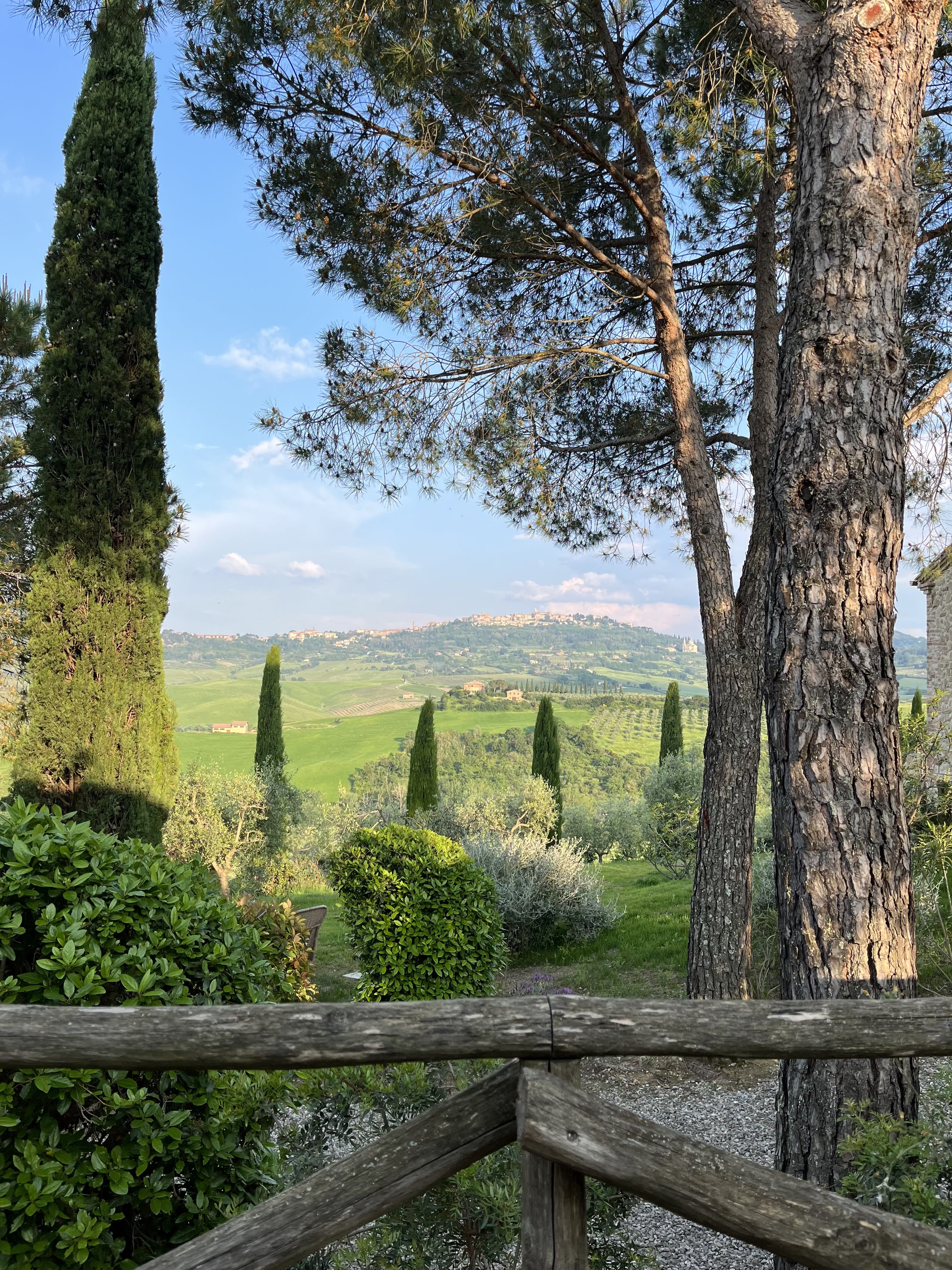 Advisor - Discover Montepulciano: A Guide to Wine Tasting, Relaxation and Delicious Dining