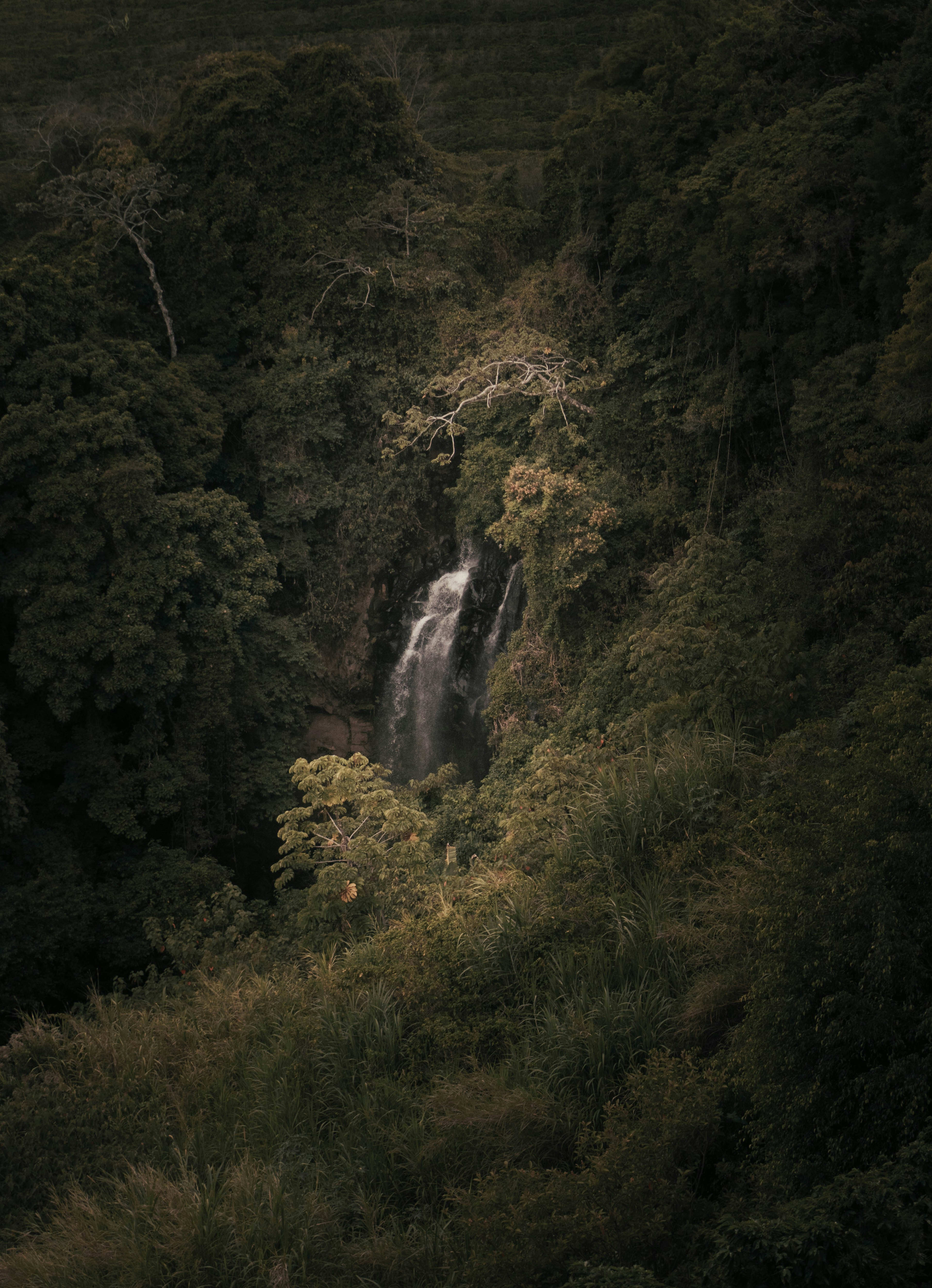 Advisor - Costa Rica 7-Day Itinerary from Liberia