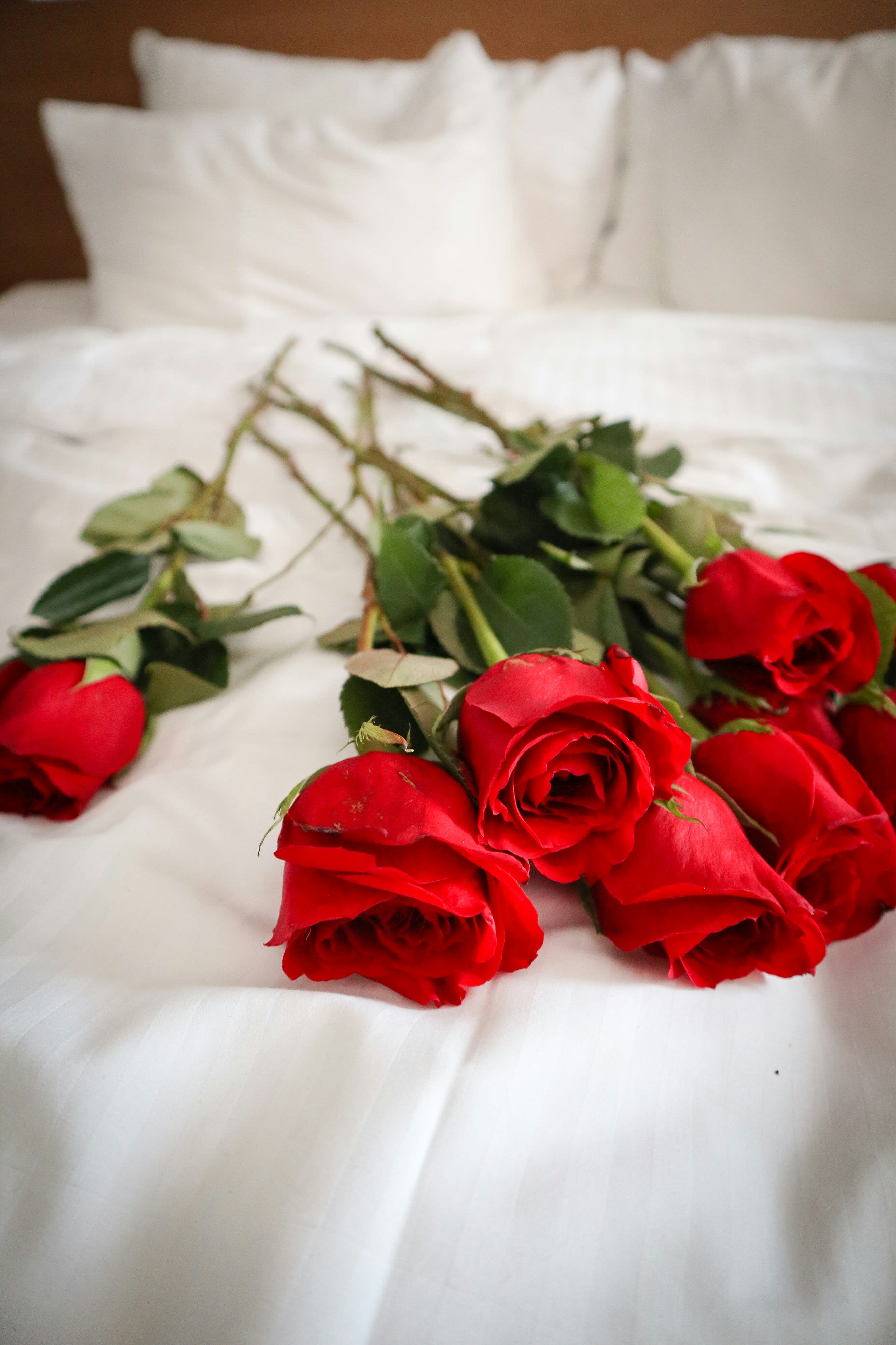 Advisor - Romantic US Getaways for Valentine's Day 2025