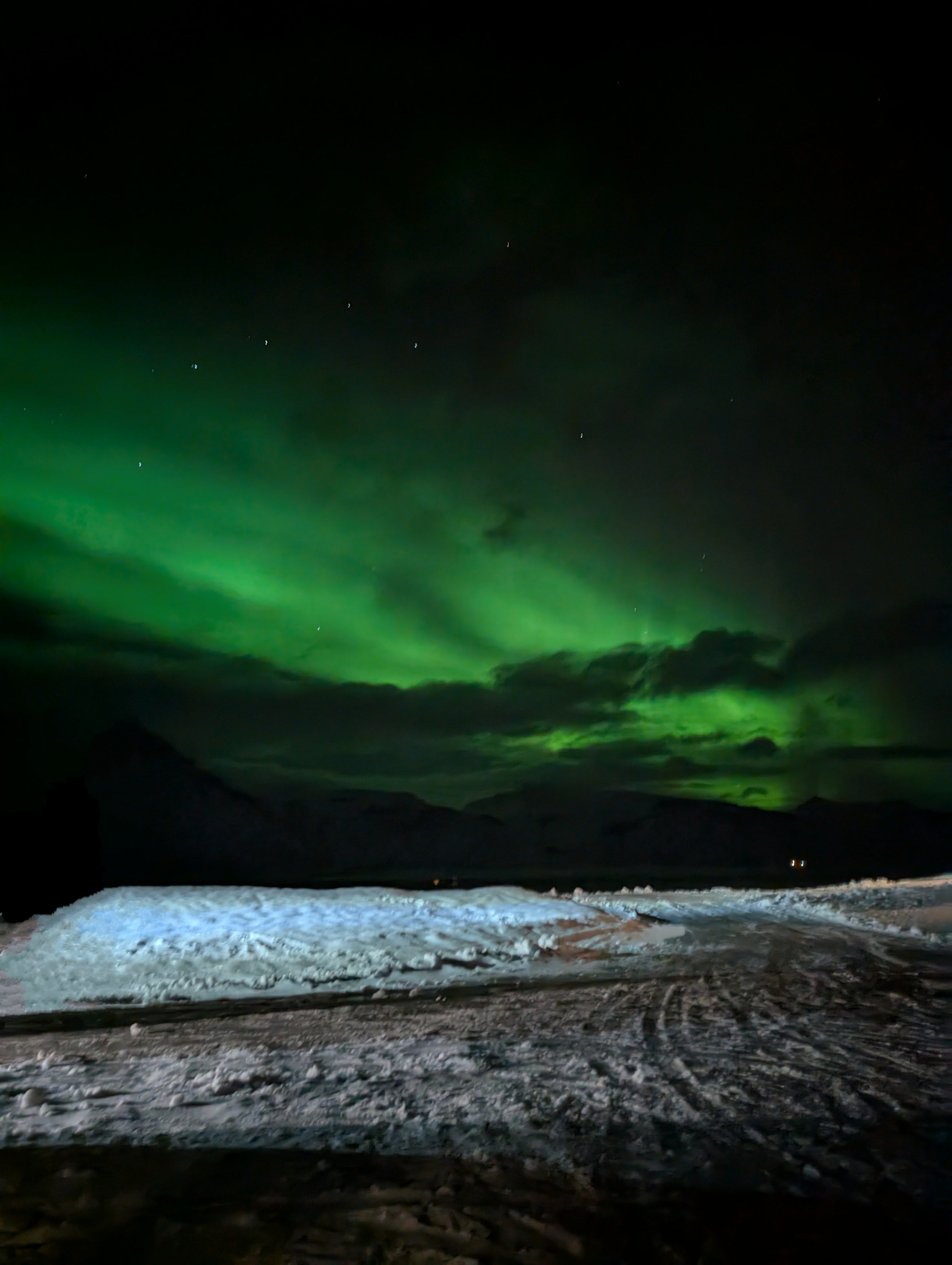 Advisor - Traversing Winter in the Land of Fire and Ice