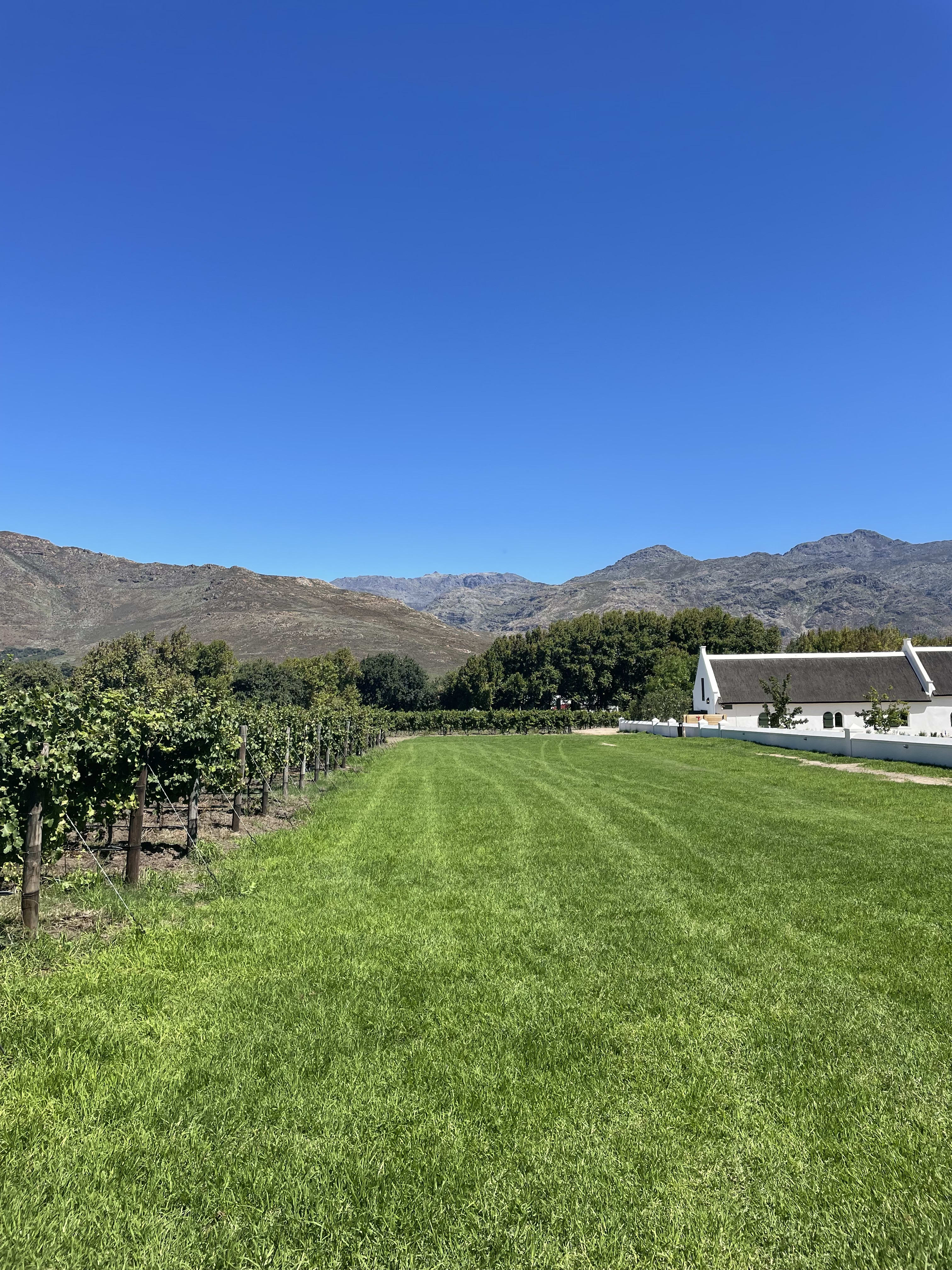 Advisor - Uncorking Franschhoek: A Guide to South Africa’s Wine Region