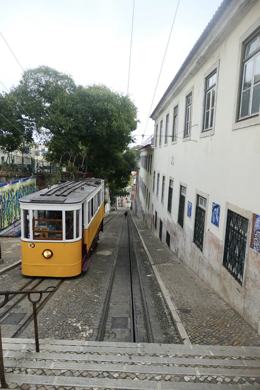 Advisor - Enchanting Views of Lisbon