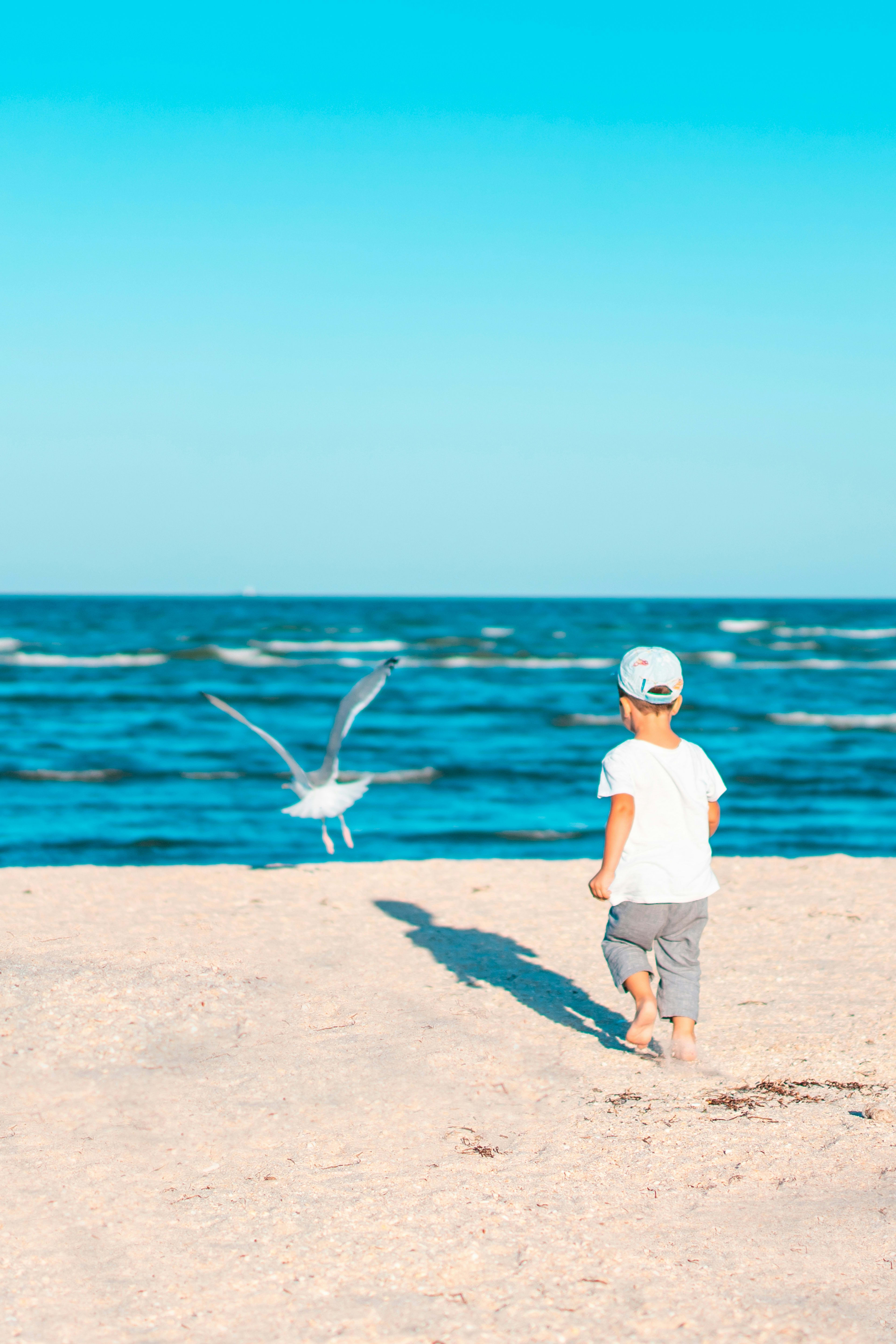 Advisor - Family Travel to Hawai'i: Kids Club Roundup