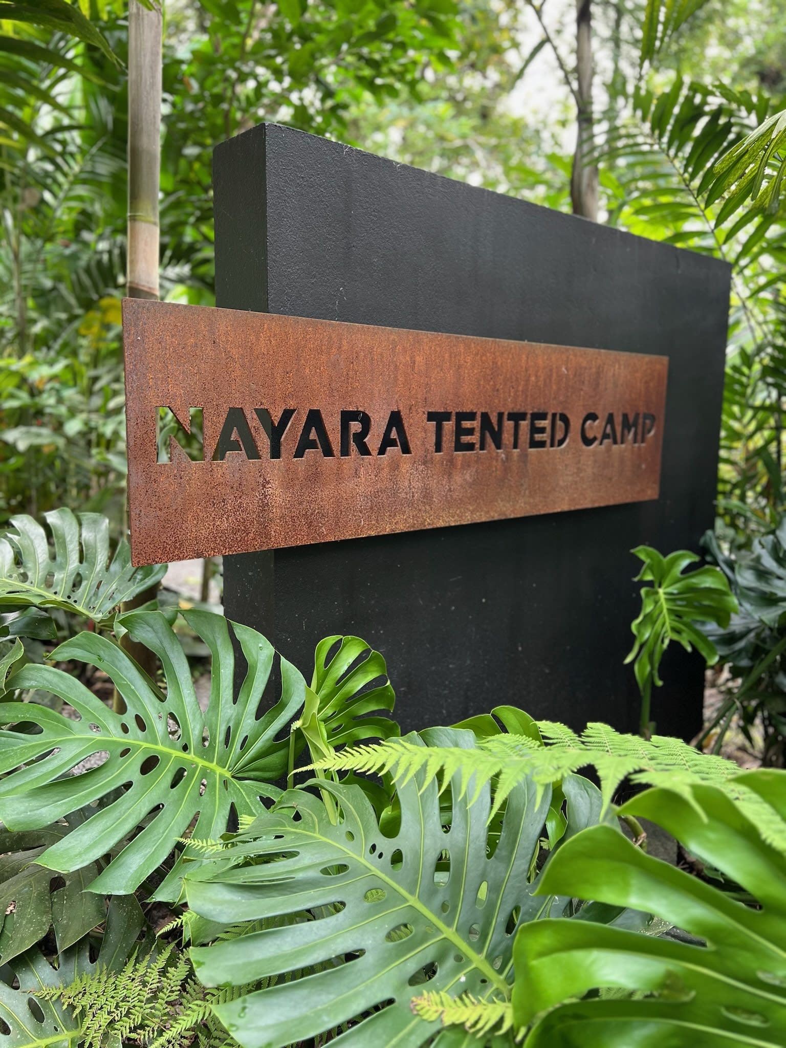 Site Inspection at Nayara Tented Camp in La Fortuna, Costa Rica