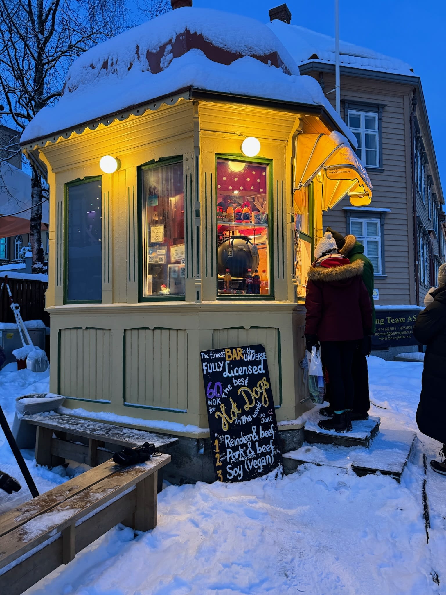 Advisor - Exploring Polar Night Above the Arctic Circle