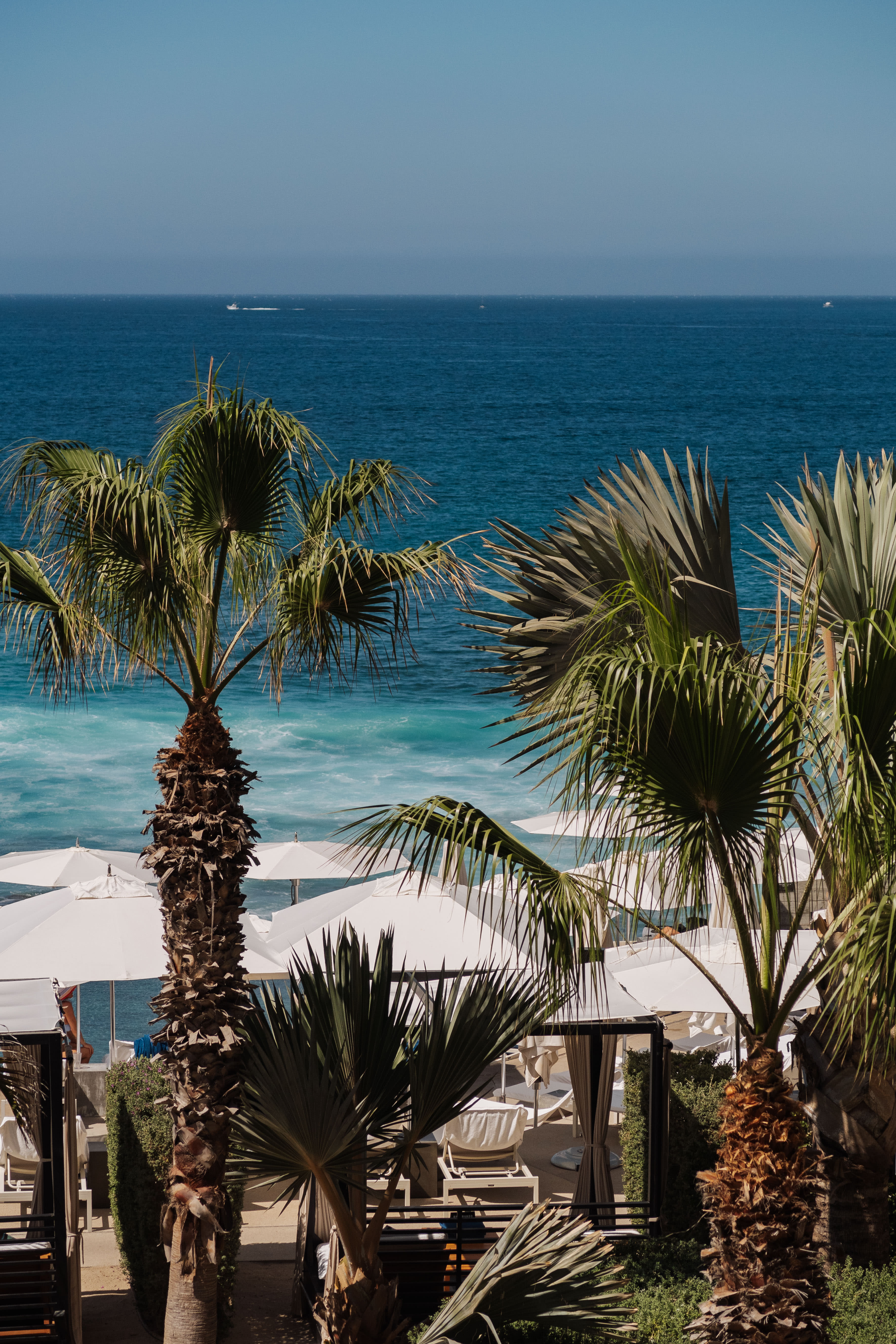 Advisor - A Weekend in Cabo San Lucas