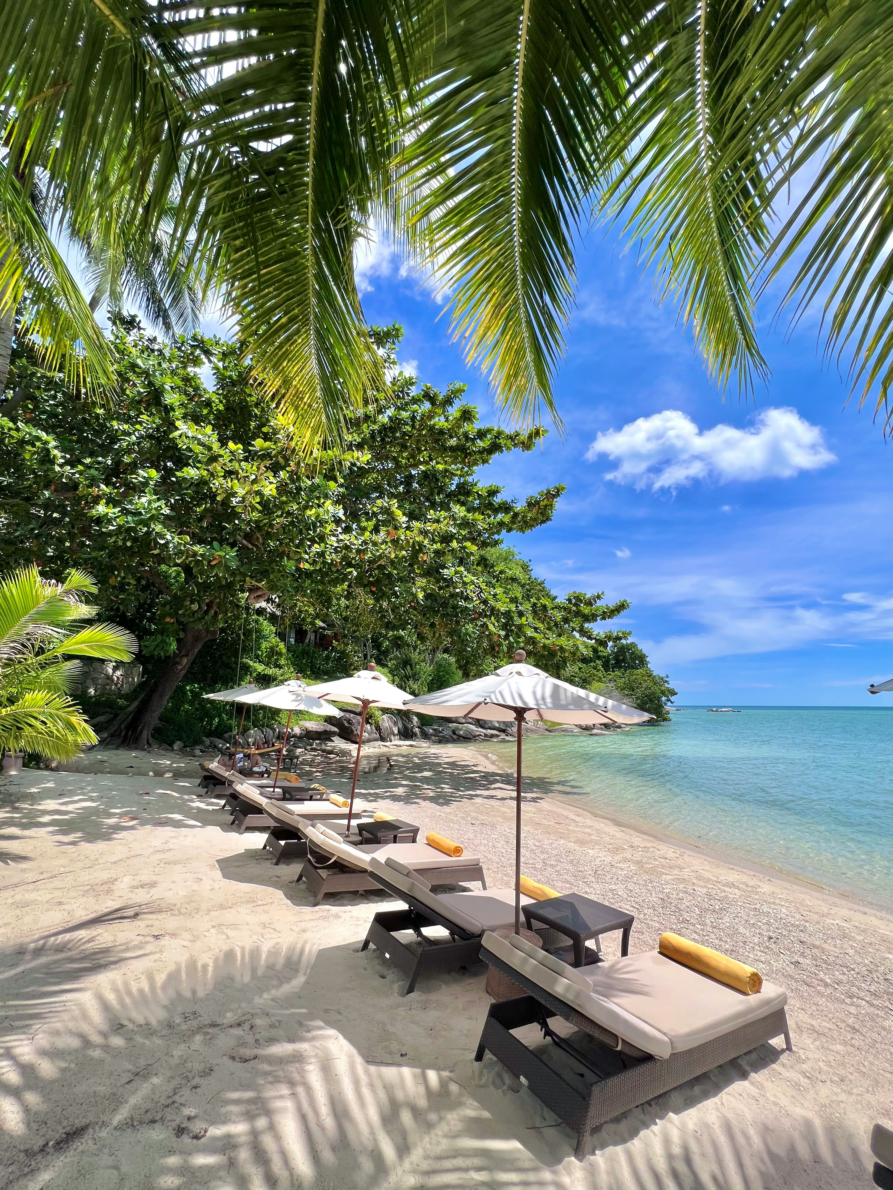 Advisor - White Lotus-Worth Seven-Day Koh Samui Itinerary