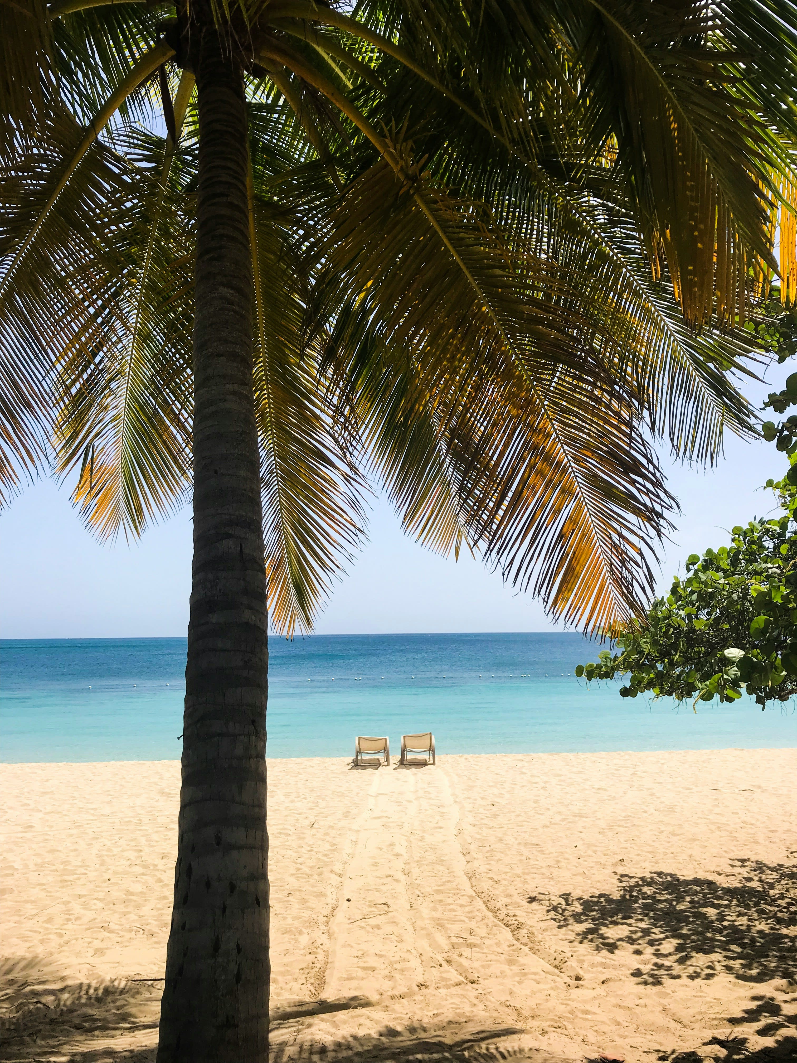 Advisor - Burnt Out & Barefoot: Our Escape to St. Thomas