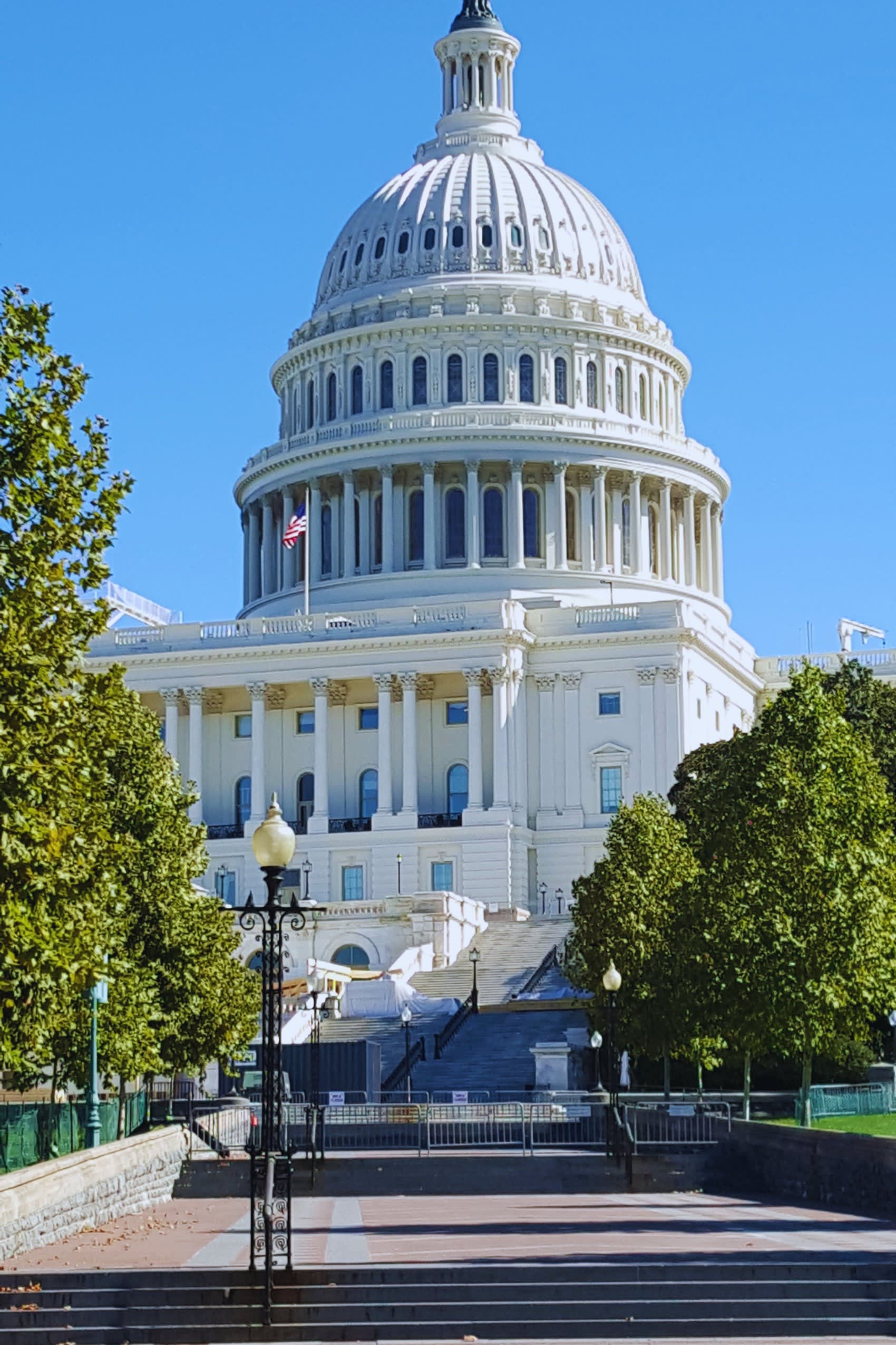 Advisor - Conquering DC With Kids: A Three-Day Itinerary