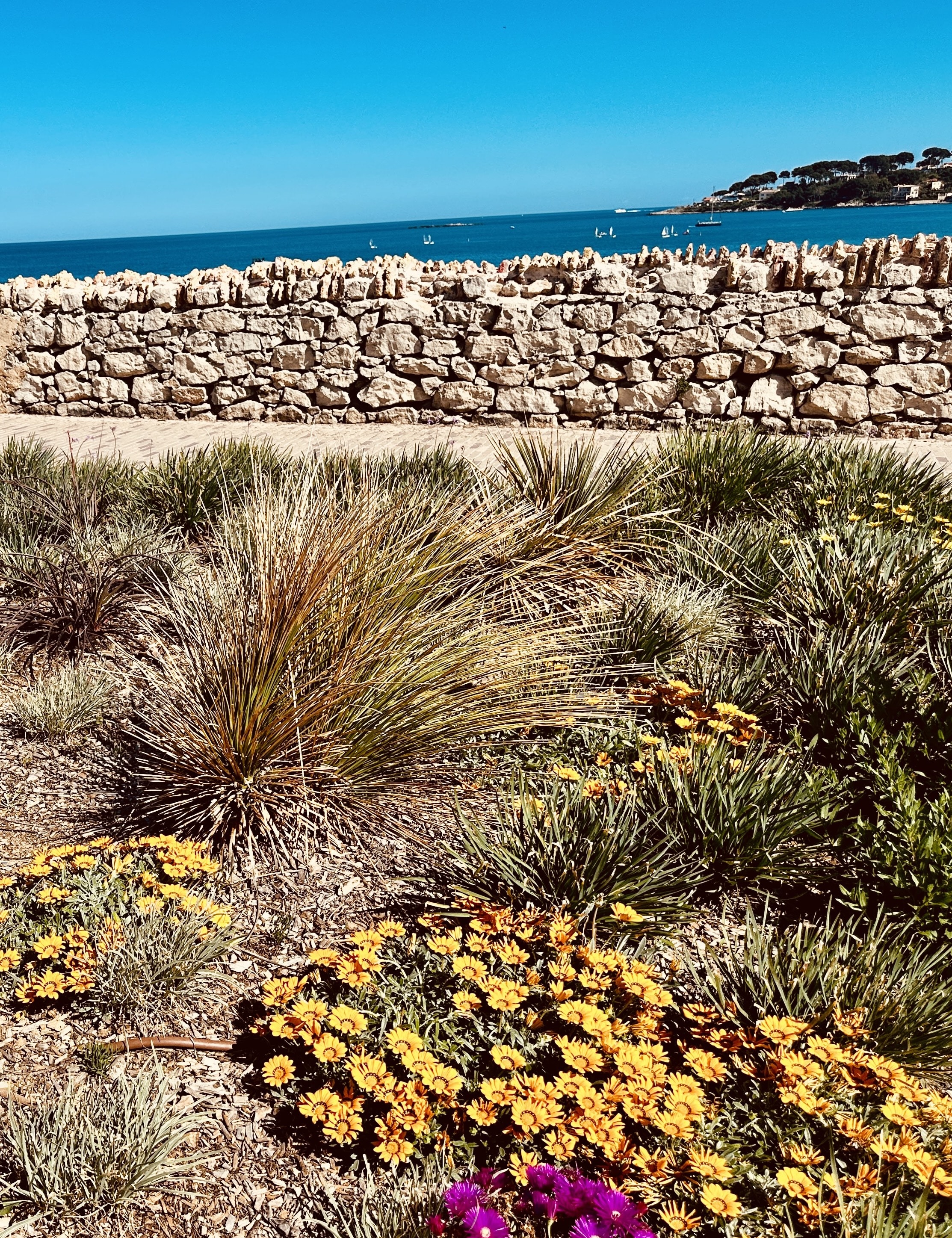 Advisor - Antibes: Coastal Charm & Riviera Cool