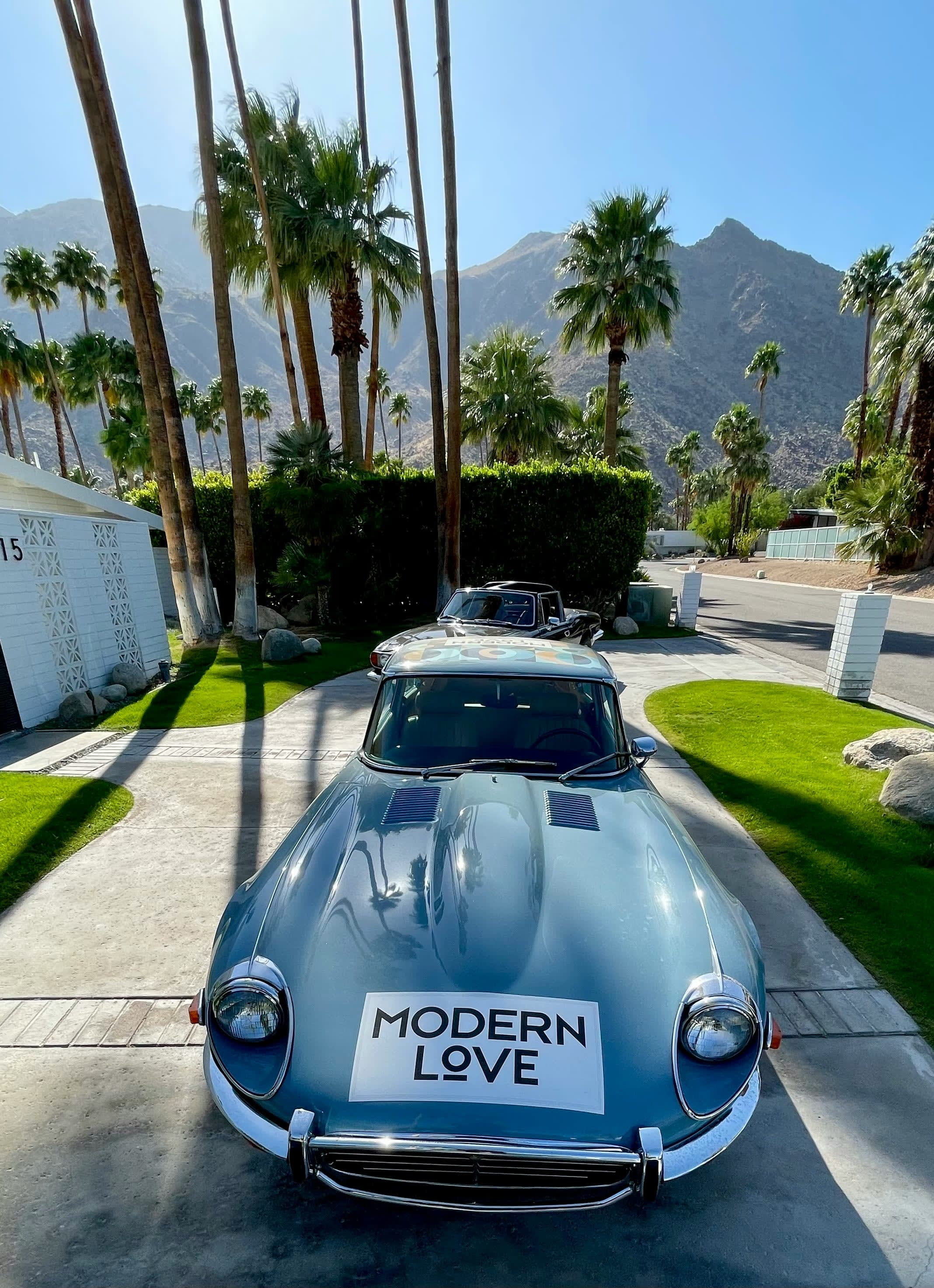 Advisor - Palm Springs: The Quintessential Desert Retreat