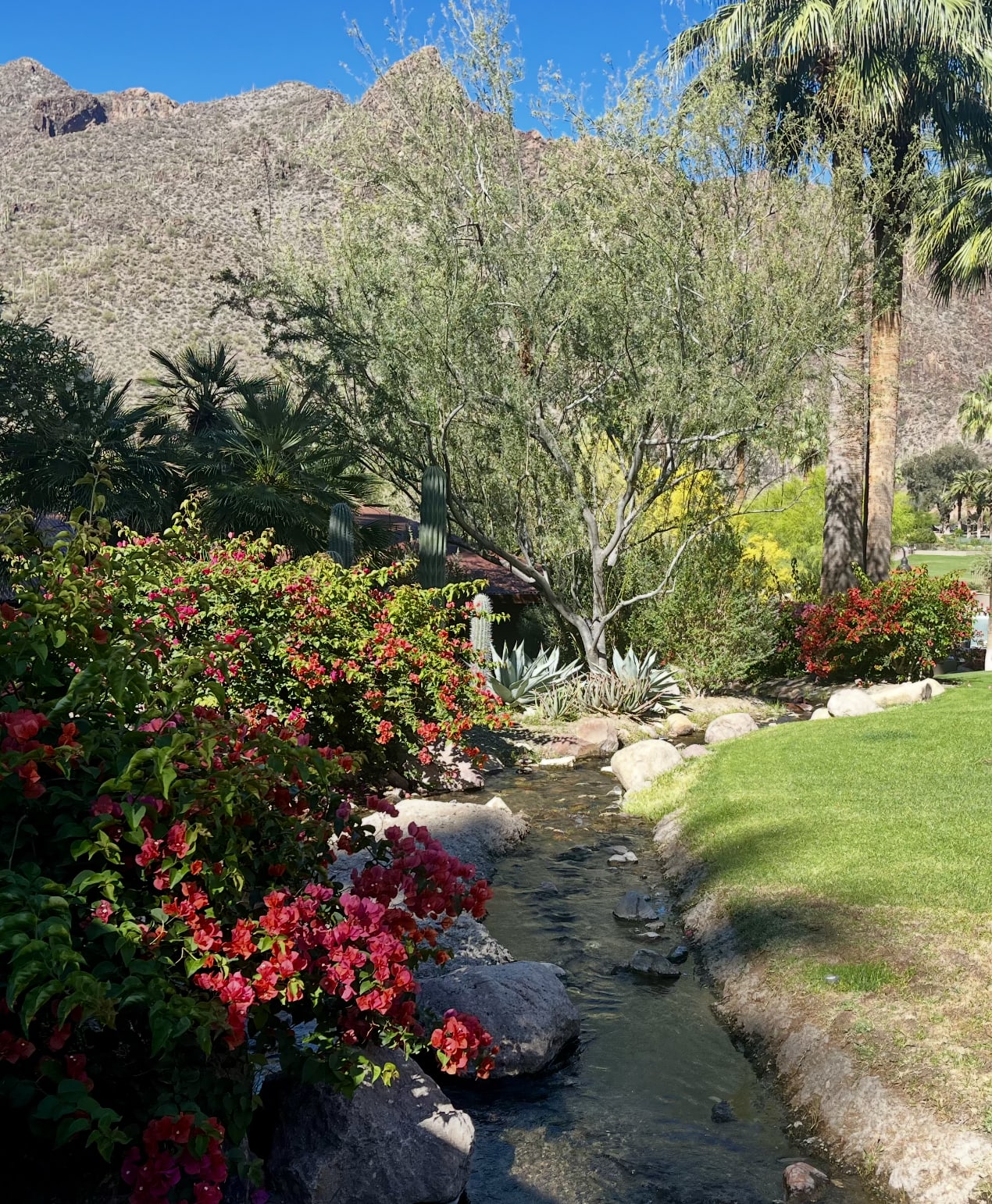 Two Amazing Days at Castle Hot Springs