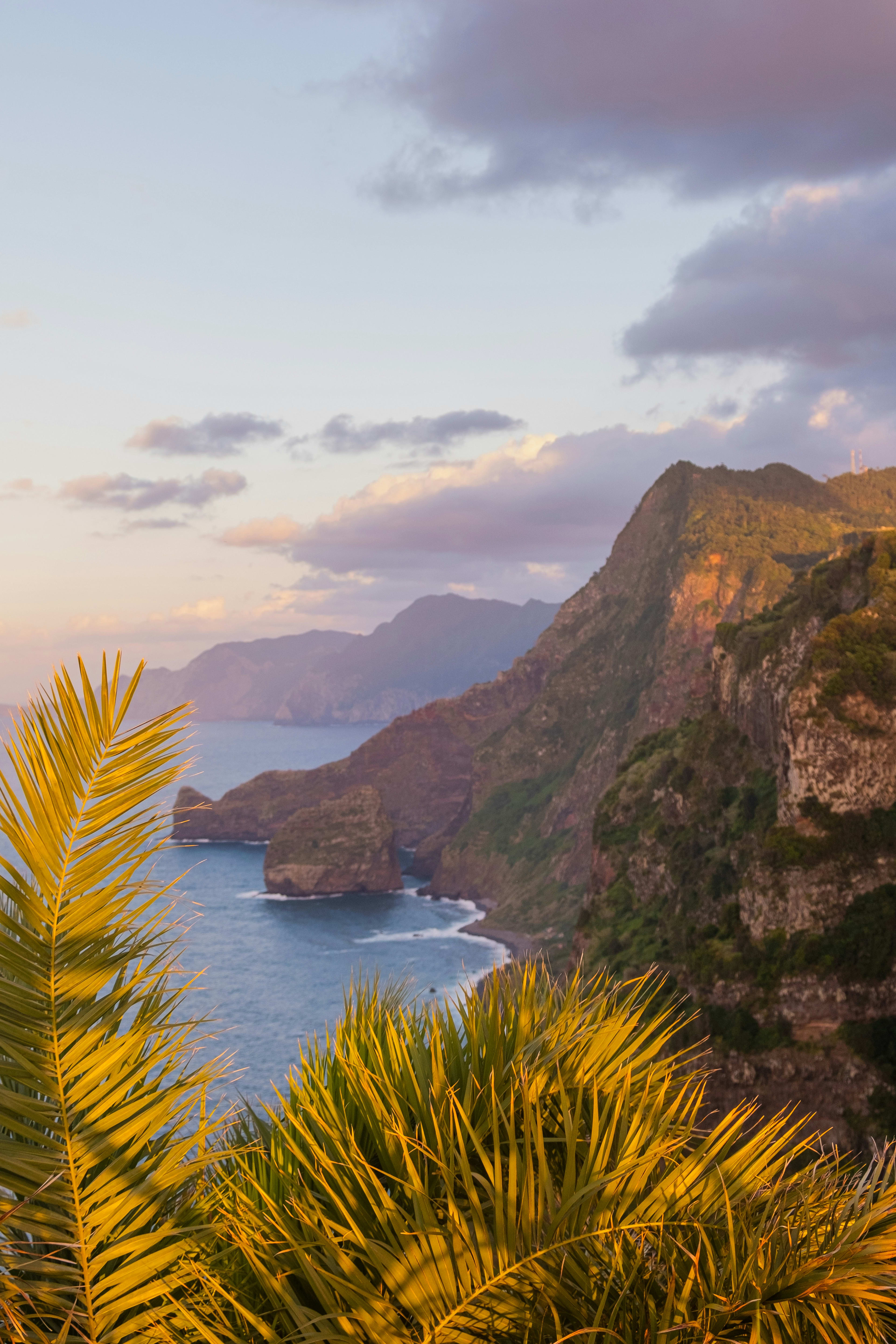 Madeira Magic: A Luxe Stay at Hotel Riu Madeira