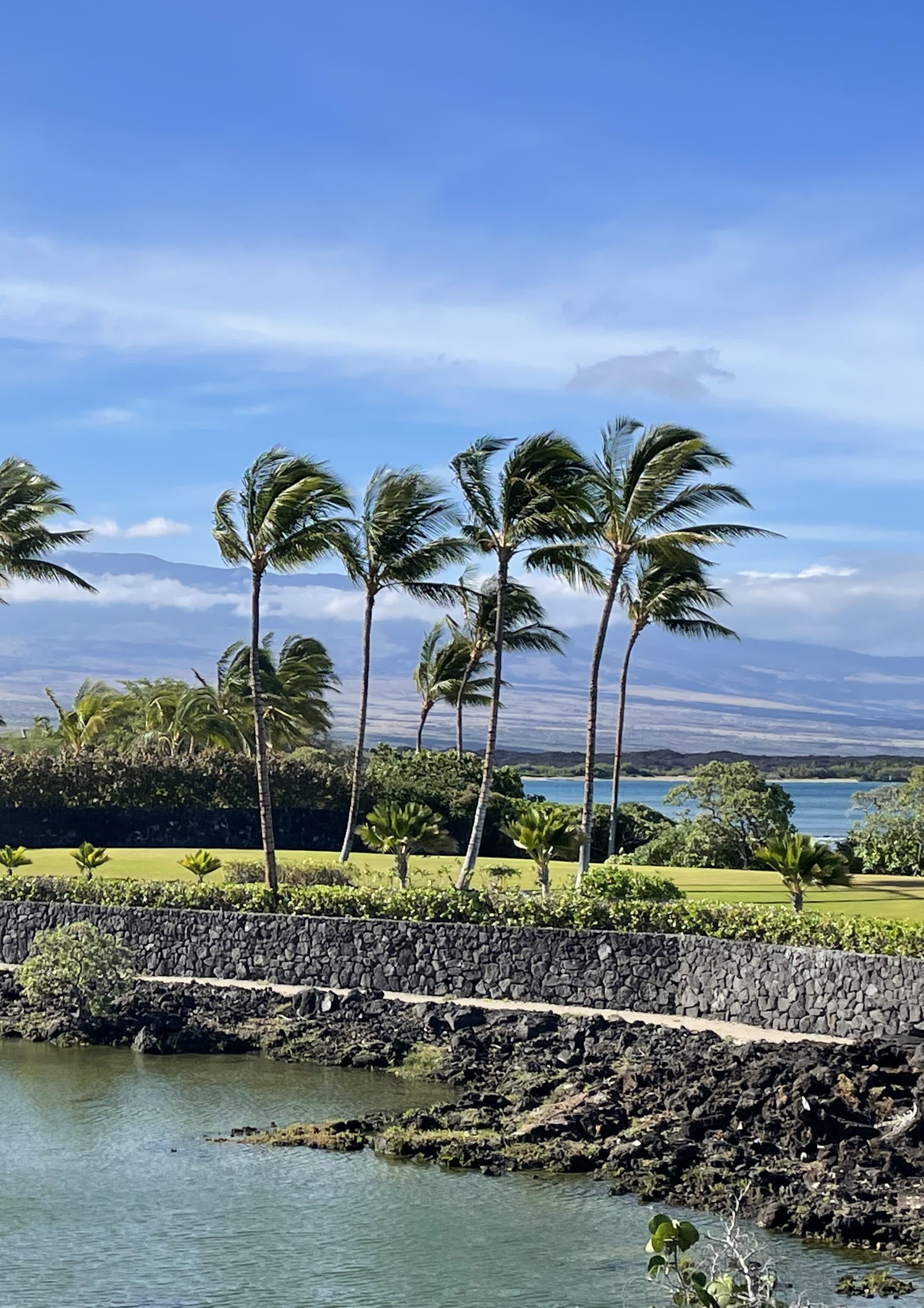 Advisor - Our Honeymoon Road Trip Around the Big Island, Hawai'i