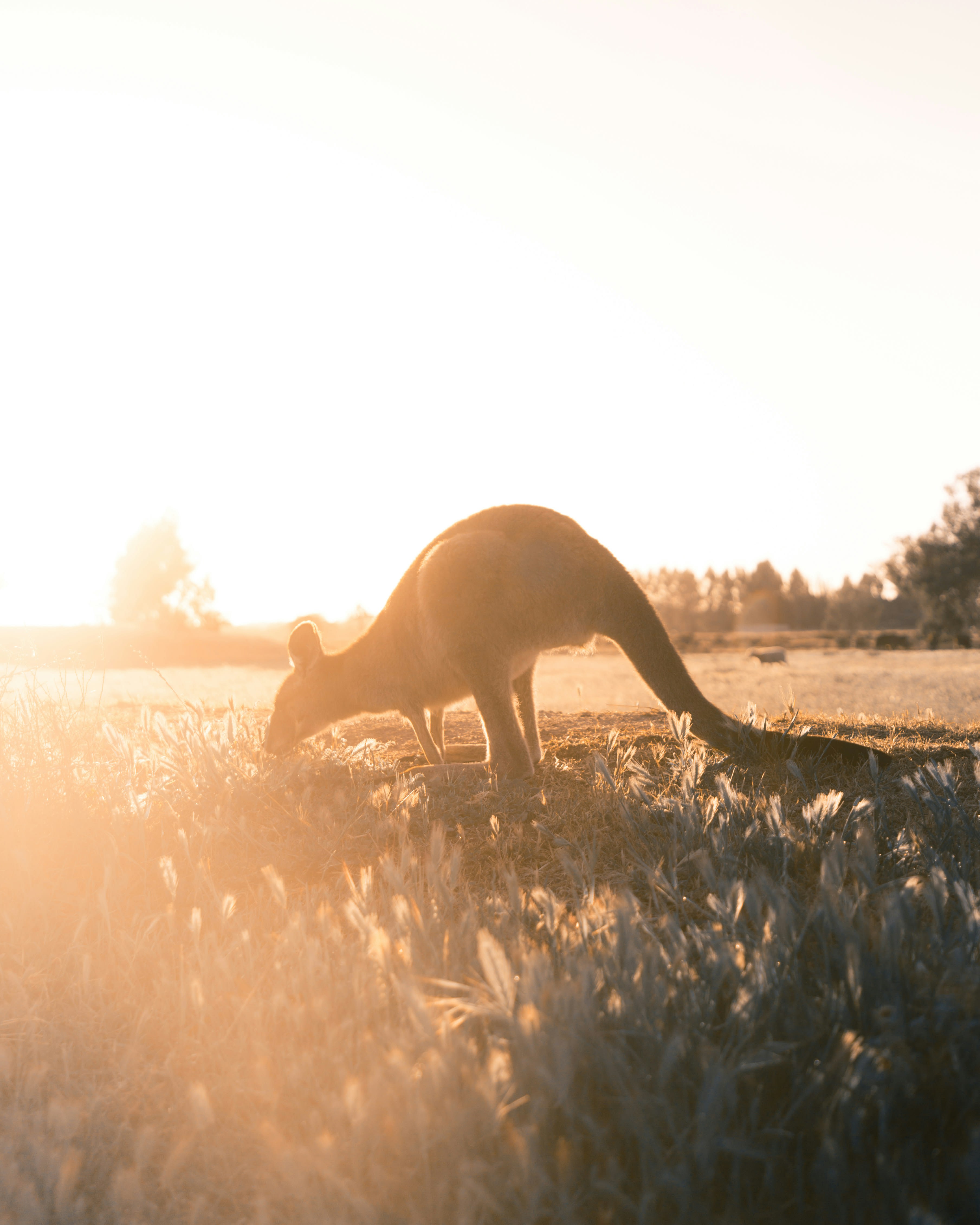 G’Day Australia: A First-Timer’s Aussie Travel Primer