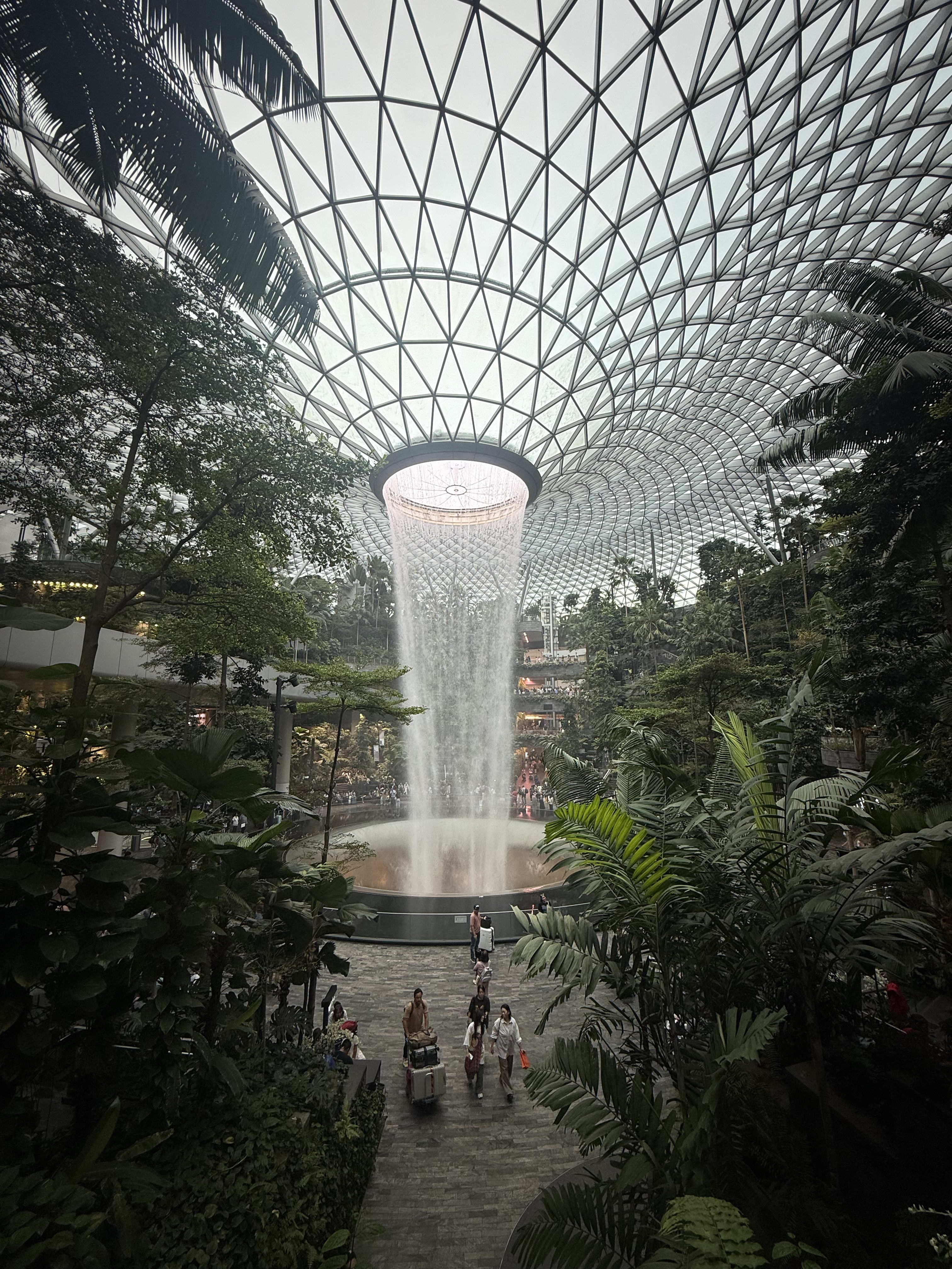 Advisor - A Family-Friendly Foodie Guide to Singapore
