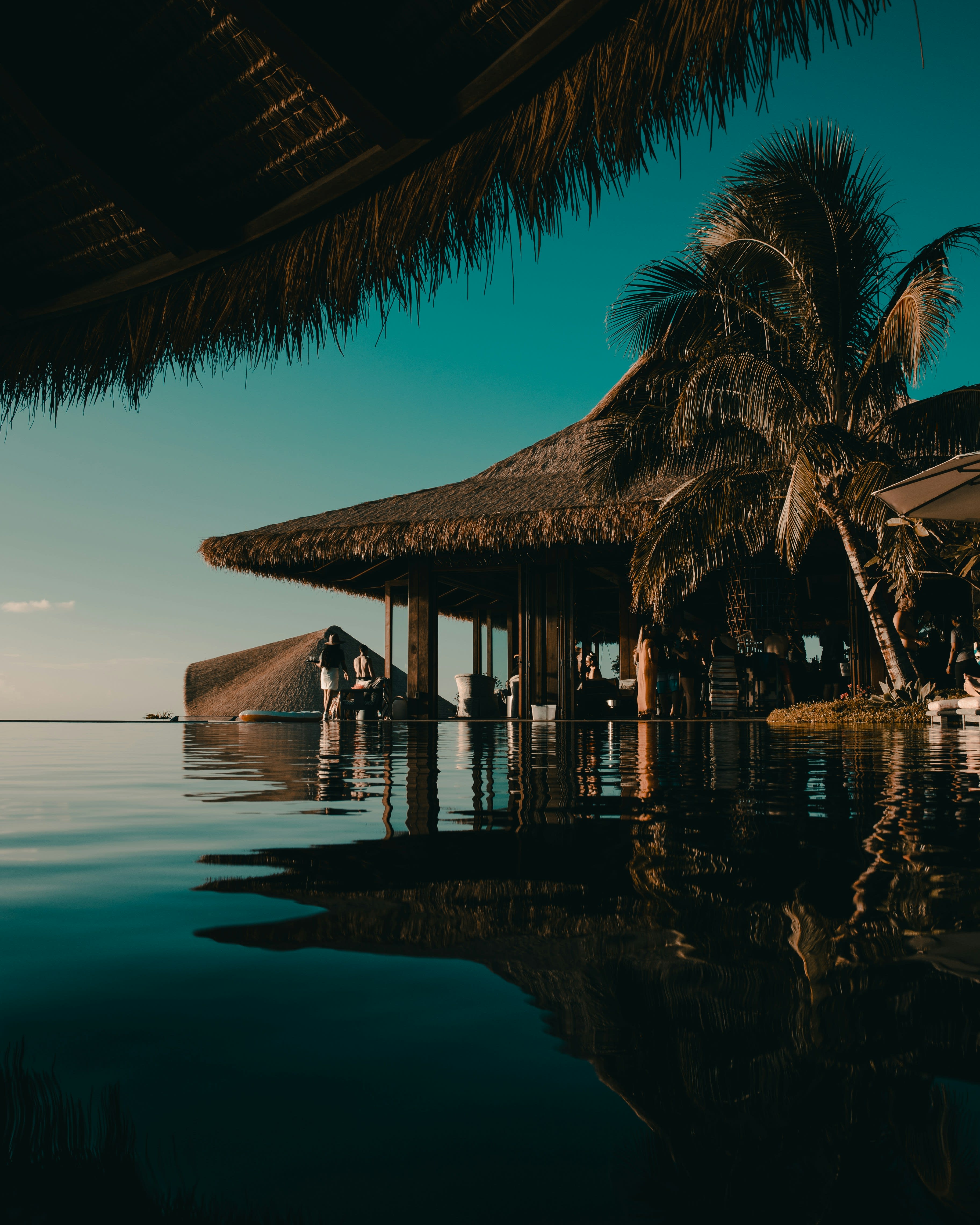 Advisor - The Perfect Tahiti Vacation