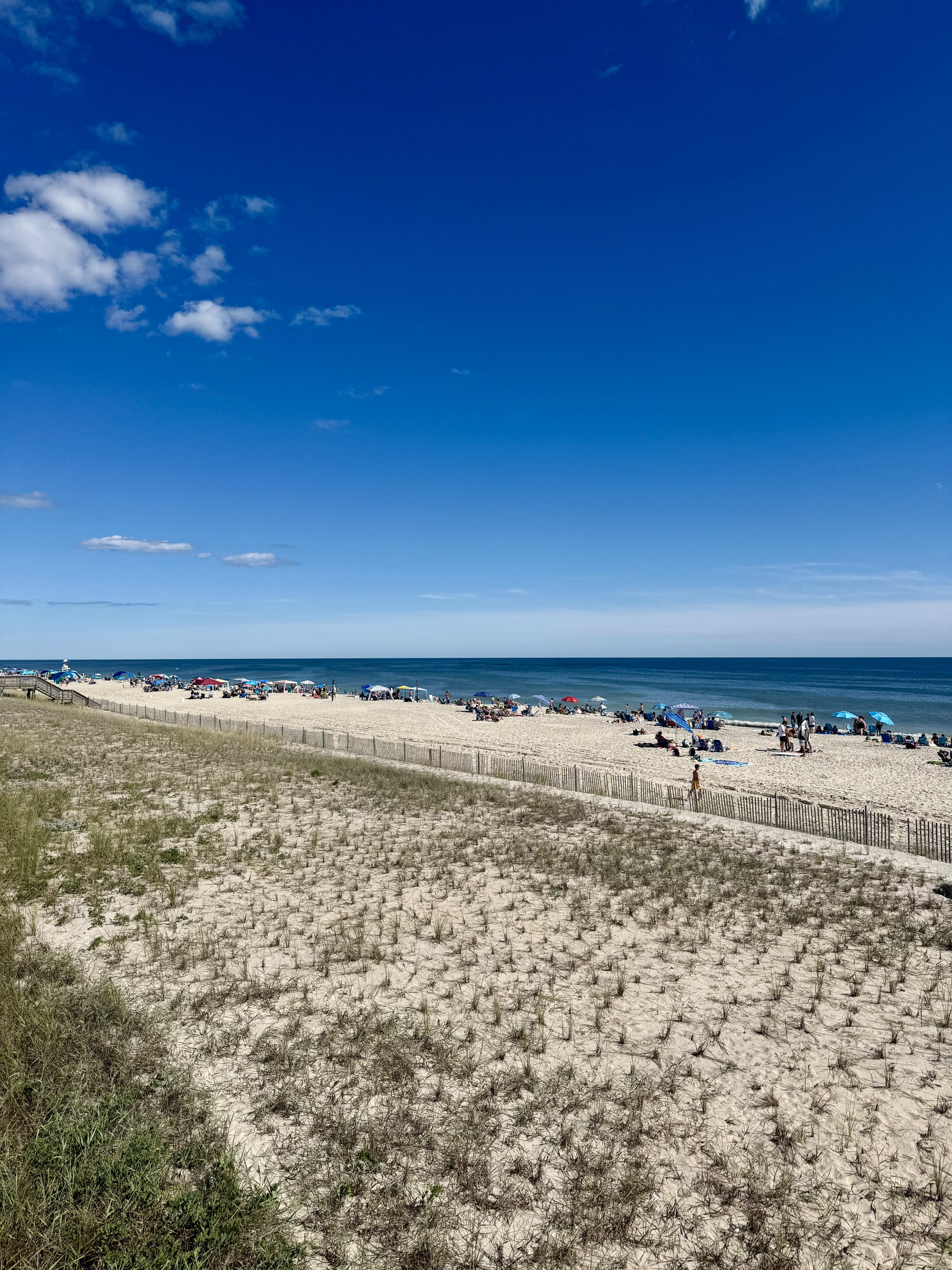 Advisor - The Guide to Fire Island, New York
