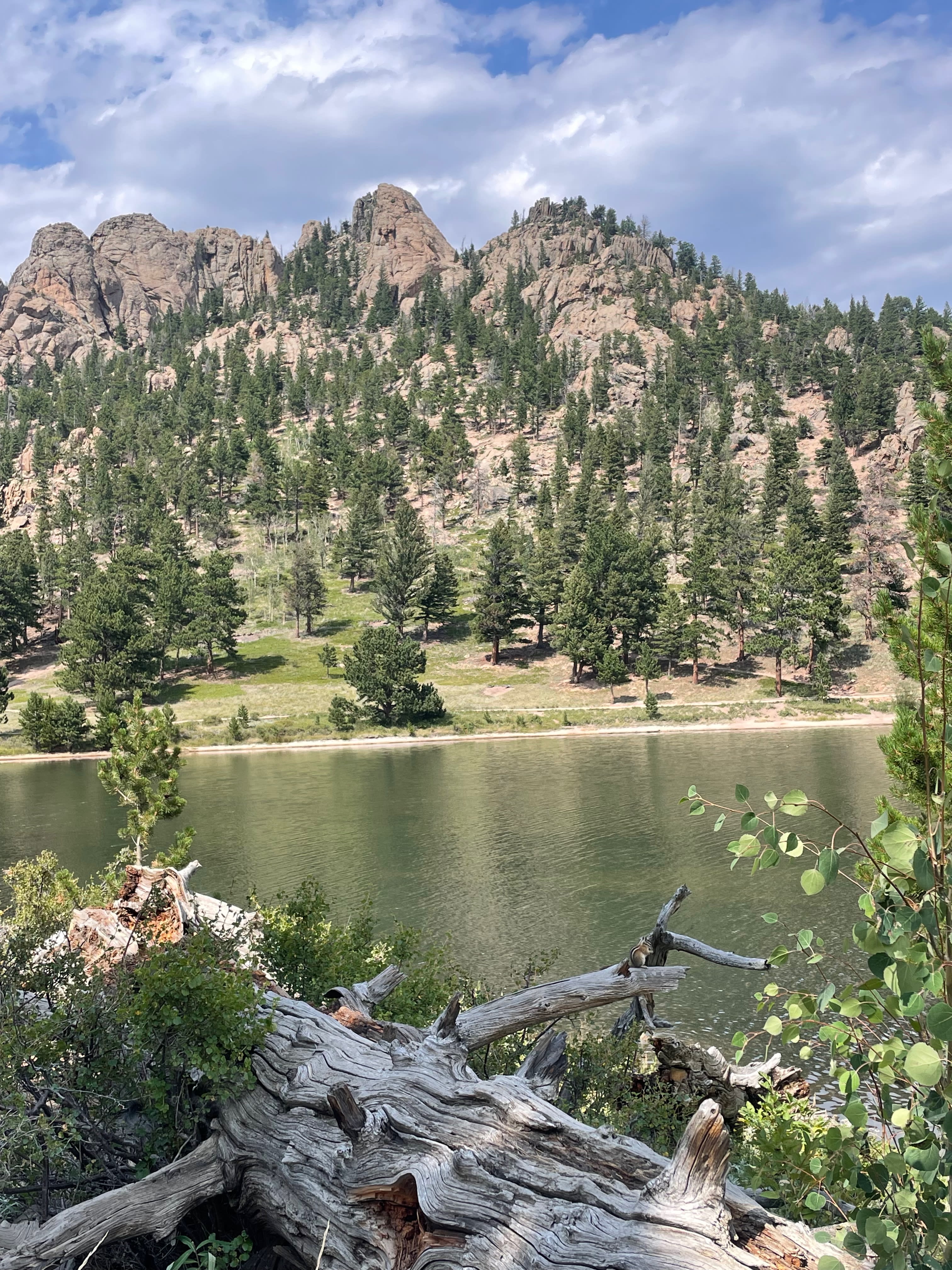 Advisor - Solo in the City: A Mile-High Adventure in Denver