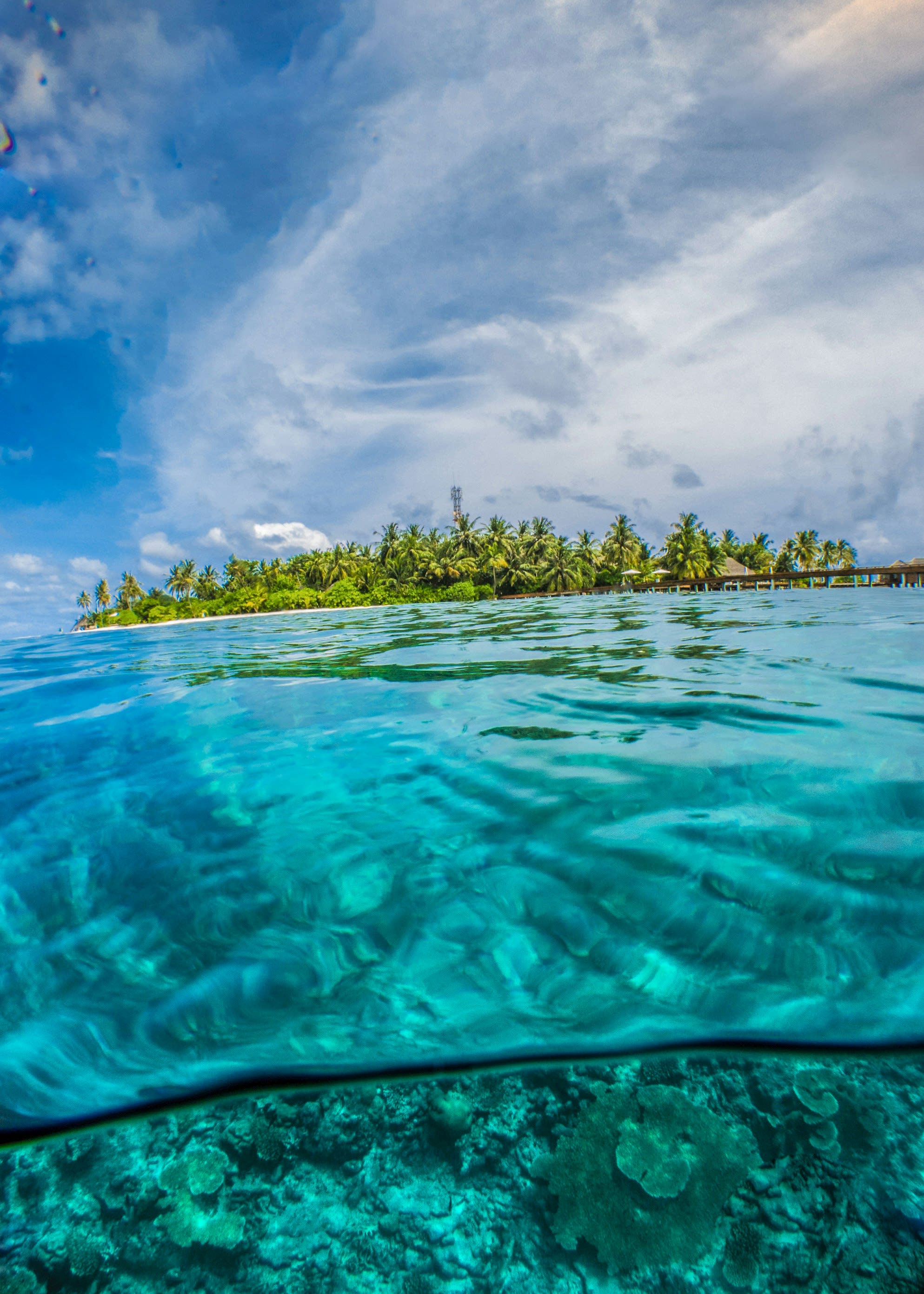 Advisor - The Best of Fiji