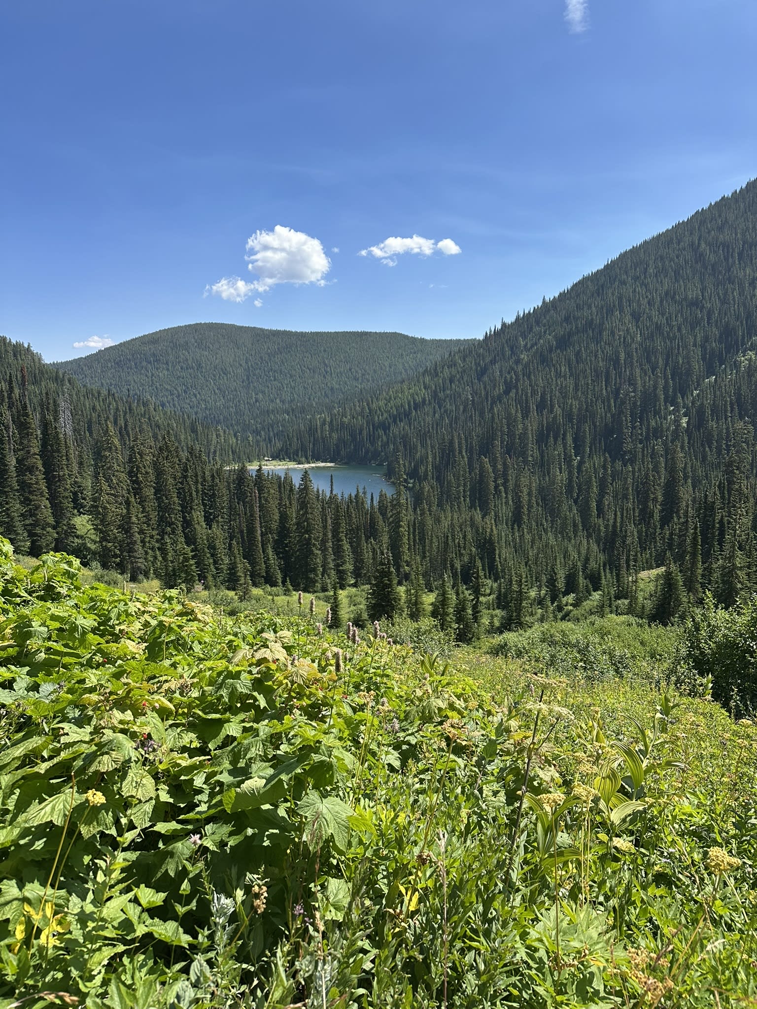 A Family Retreat to Alpine Falls Ranch in Montana