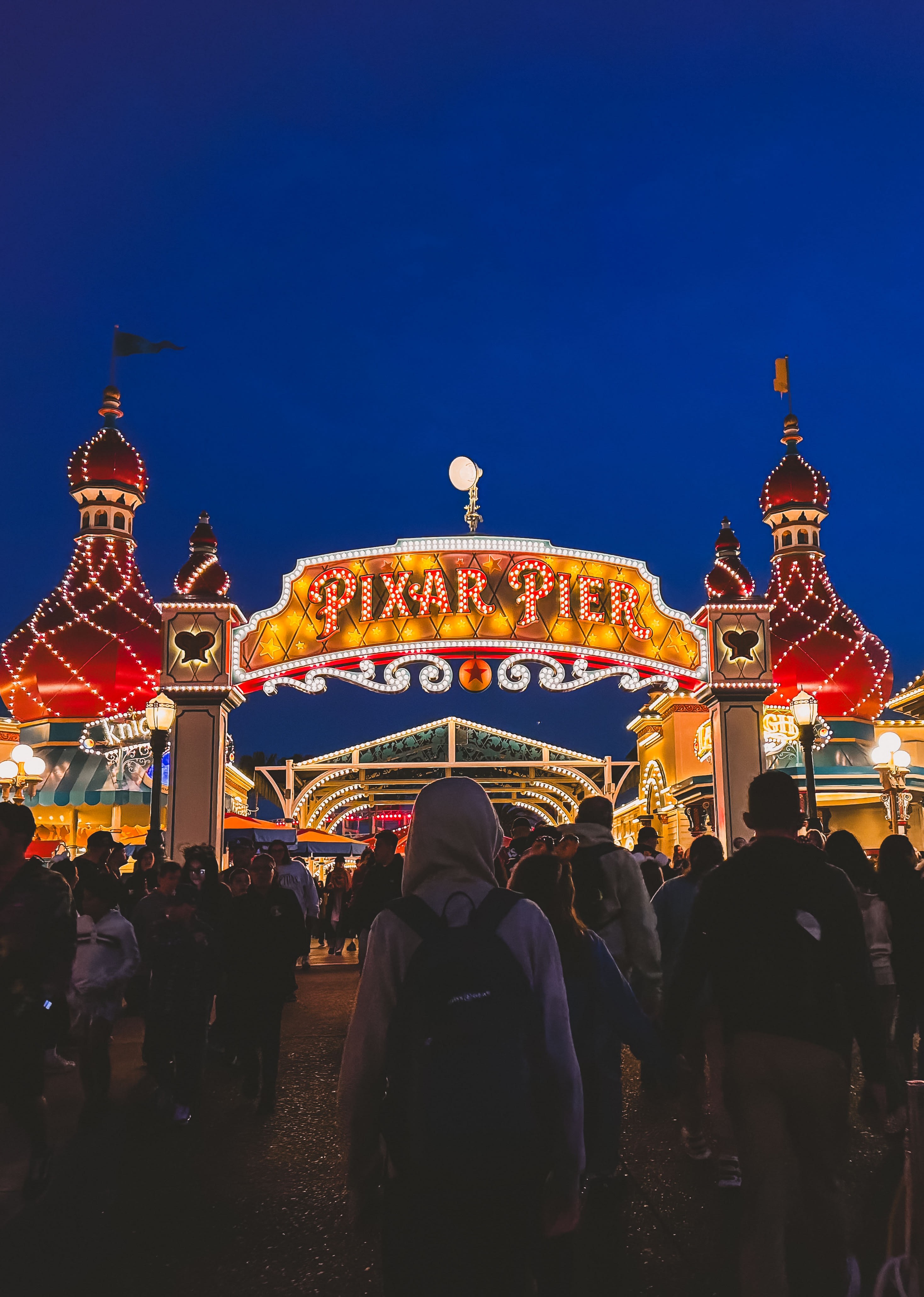 Advisor - The Exhausted Parent's Guide to Disneyland