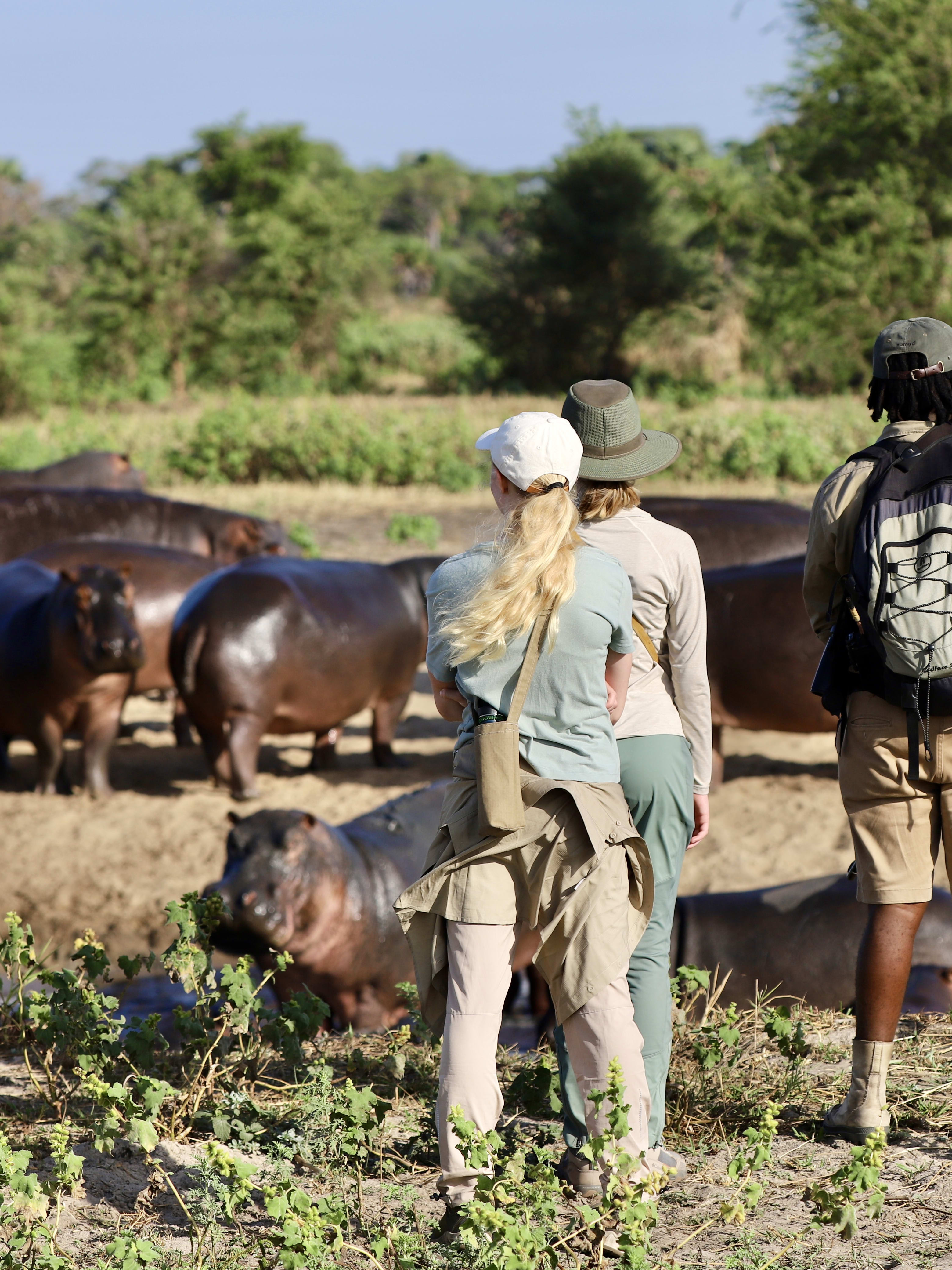 Tanzania Safari Itinerary: Serengeti Olakira, Chada Katavi & Greystoke Mahale