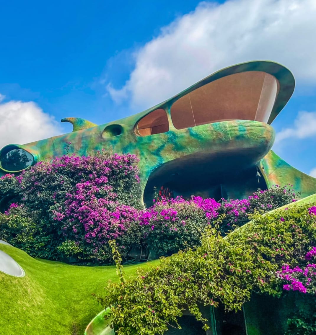Advisor - The Ultimate CDMX Guide: Zona Maco and Authentic Hotels, Art, Food & Fashion Experiences