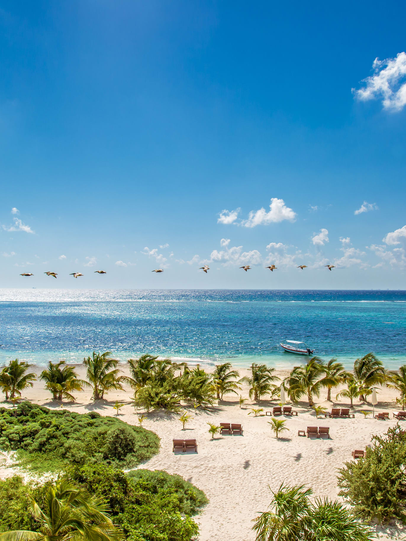 Riviera Maya Luxury Resorts, Compared: Where to Stay & Why It Matters