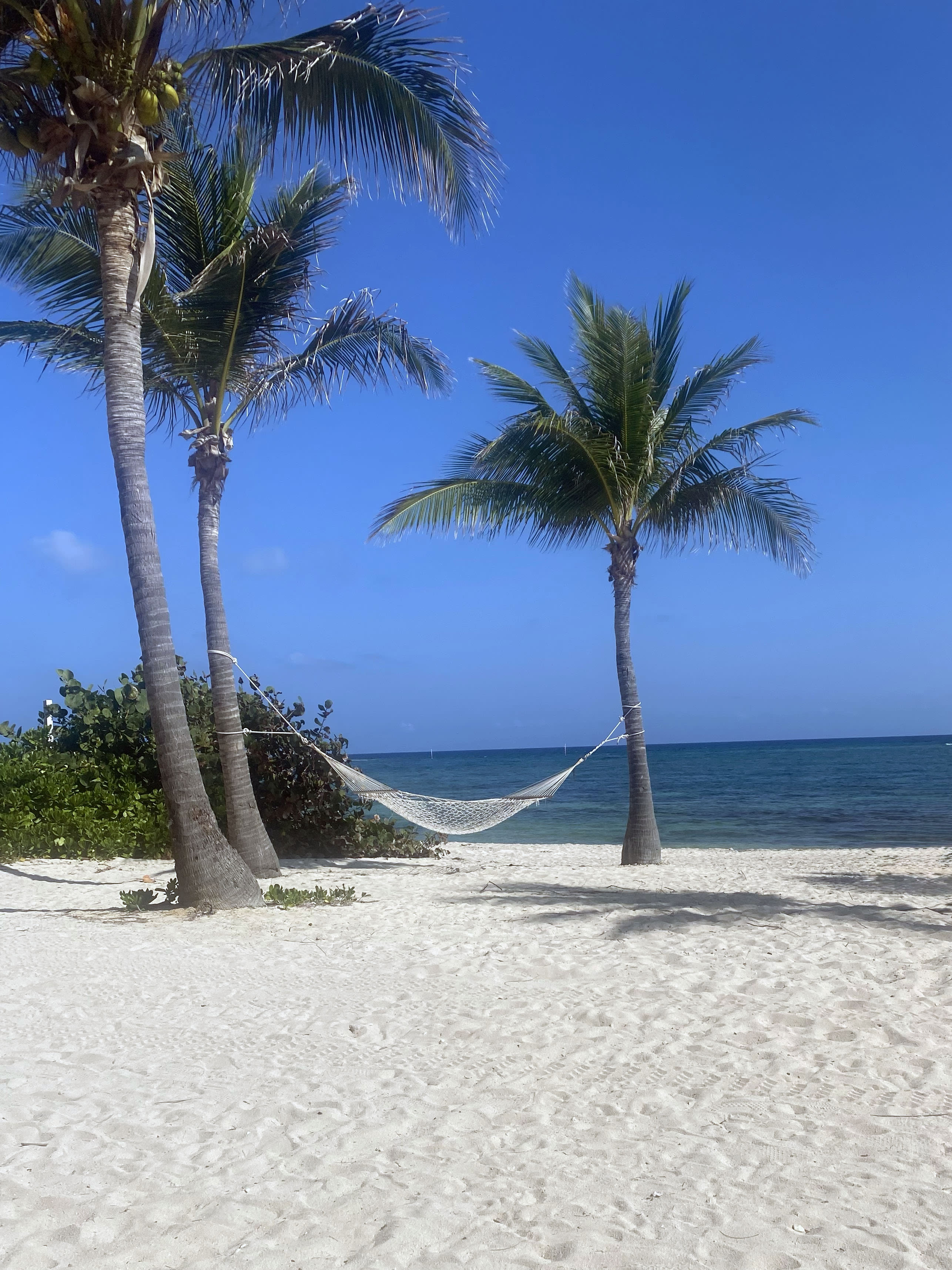 Advisor - Splash, Explore, Repeat: The Ultimate Grand Cayman Family Week