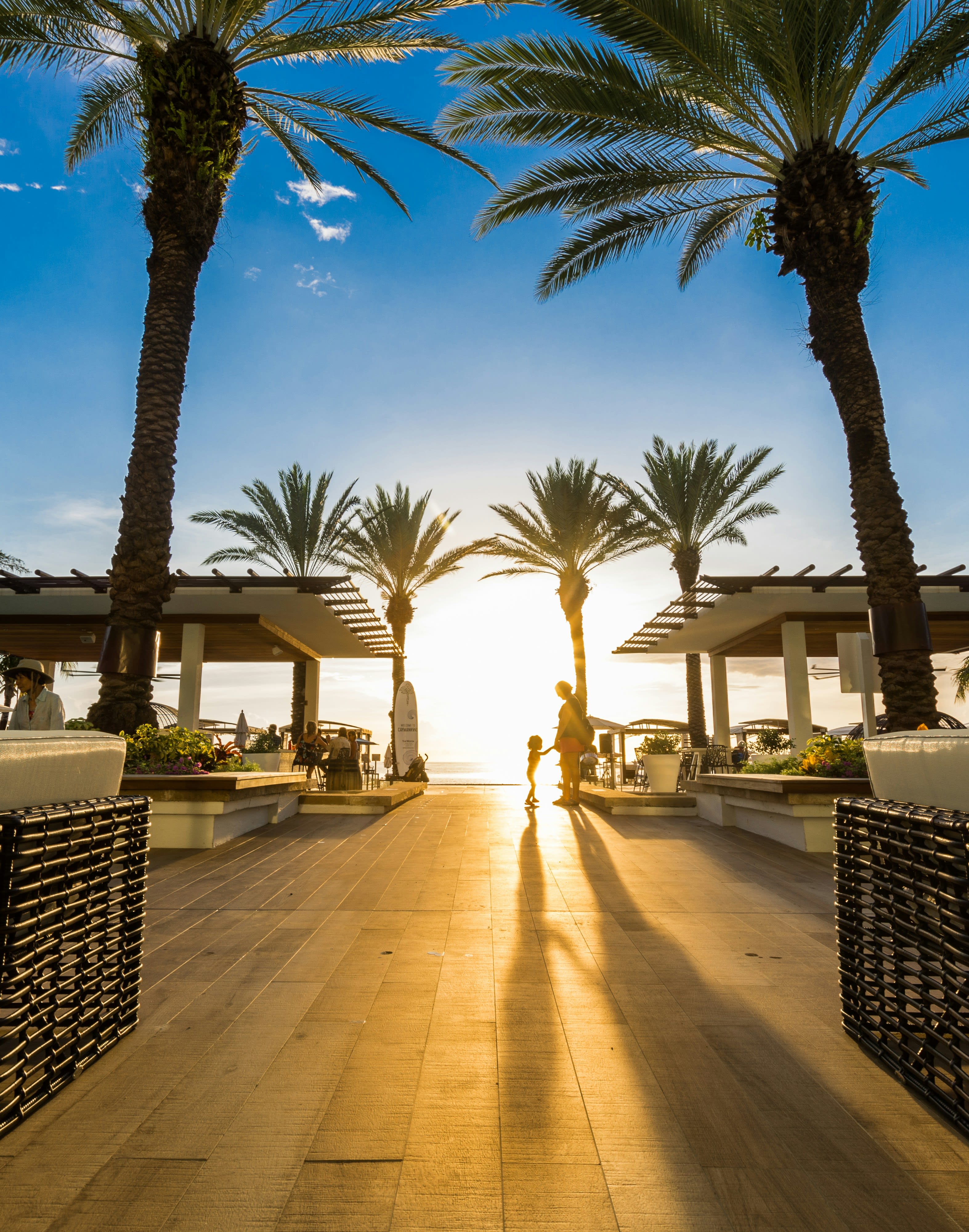 Advisor - Grand Cayman Travel & Food Guide