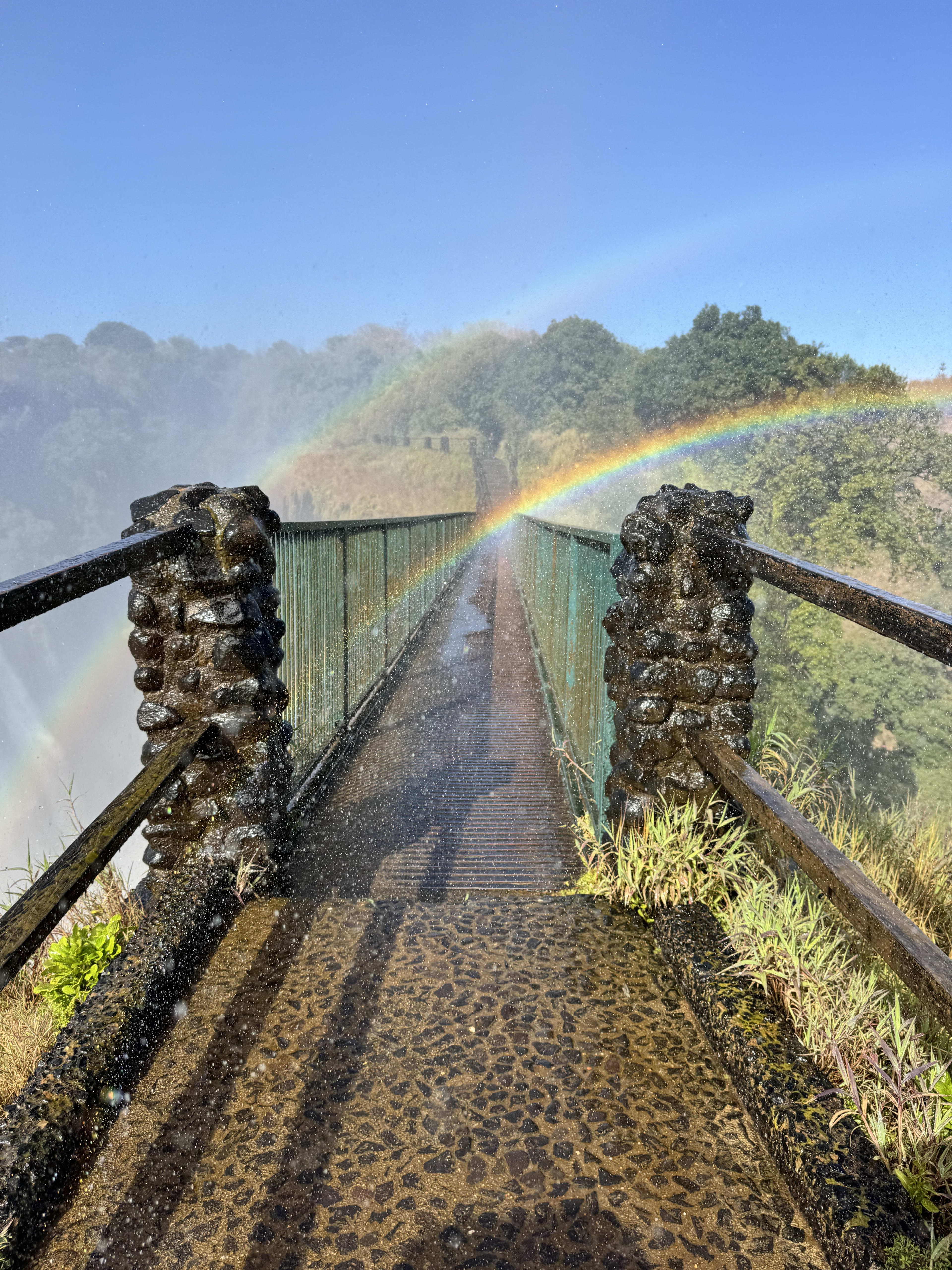 Victoria Falls: The Perfect Zambia Escape on the Zambezi River