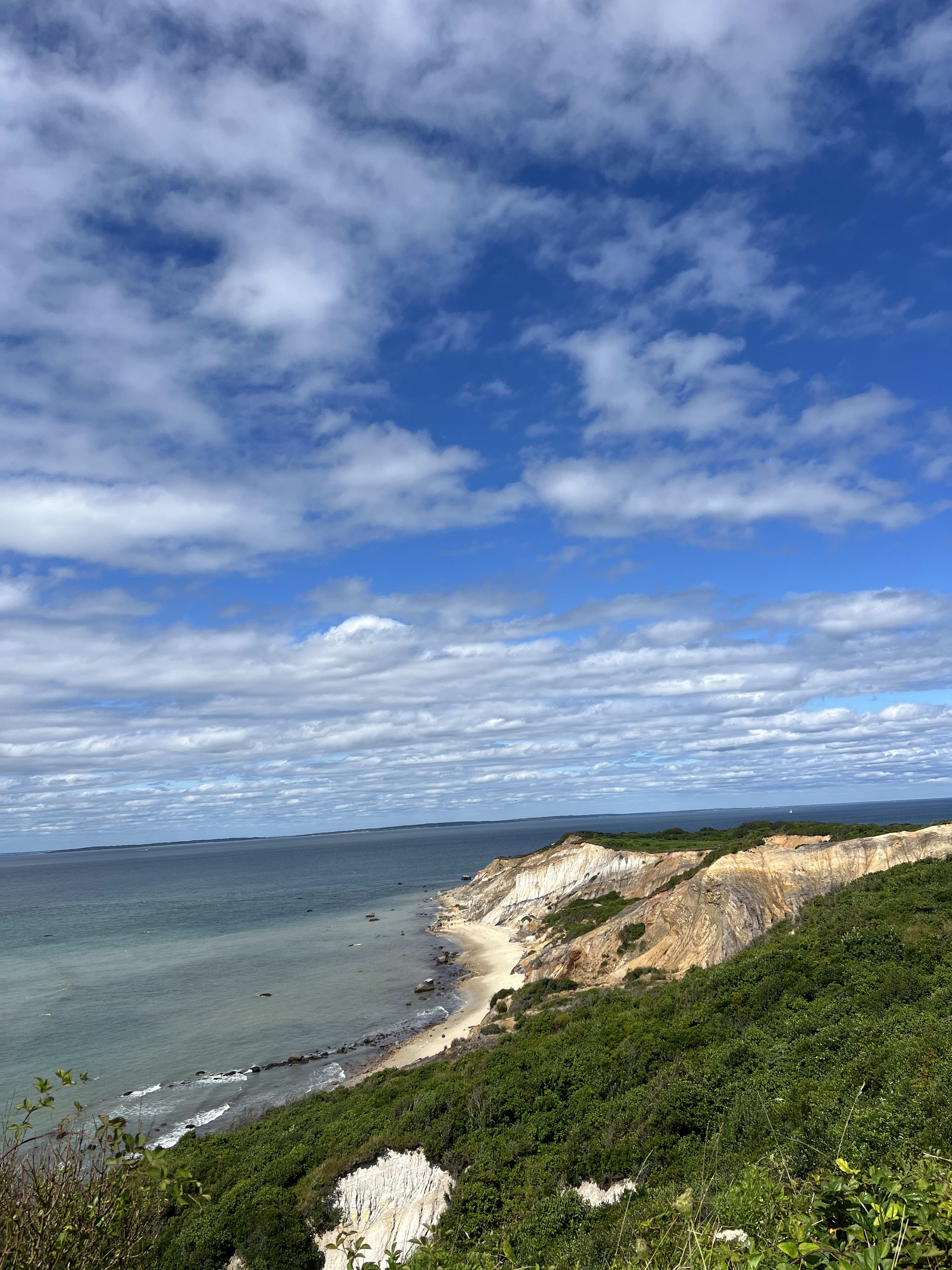 Advisor - A Summer Weekend in Martha's Vineyard