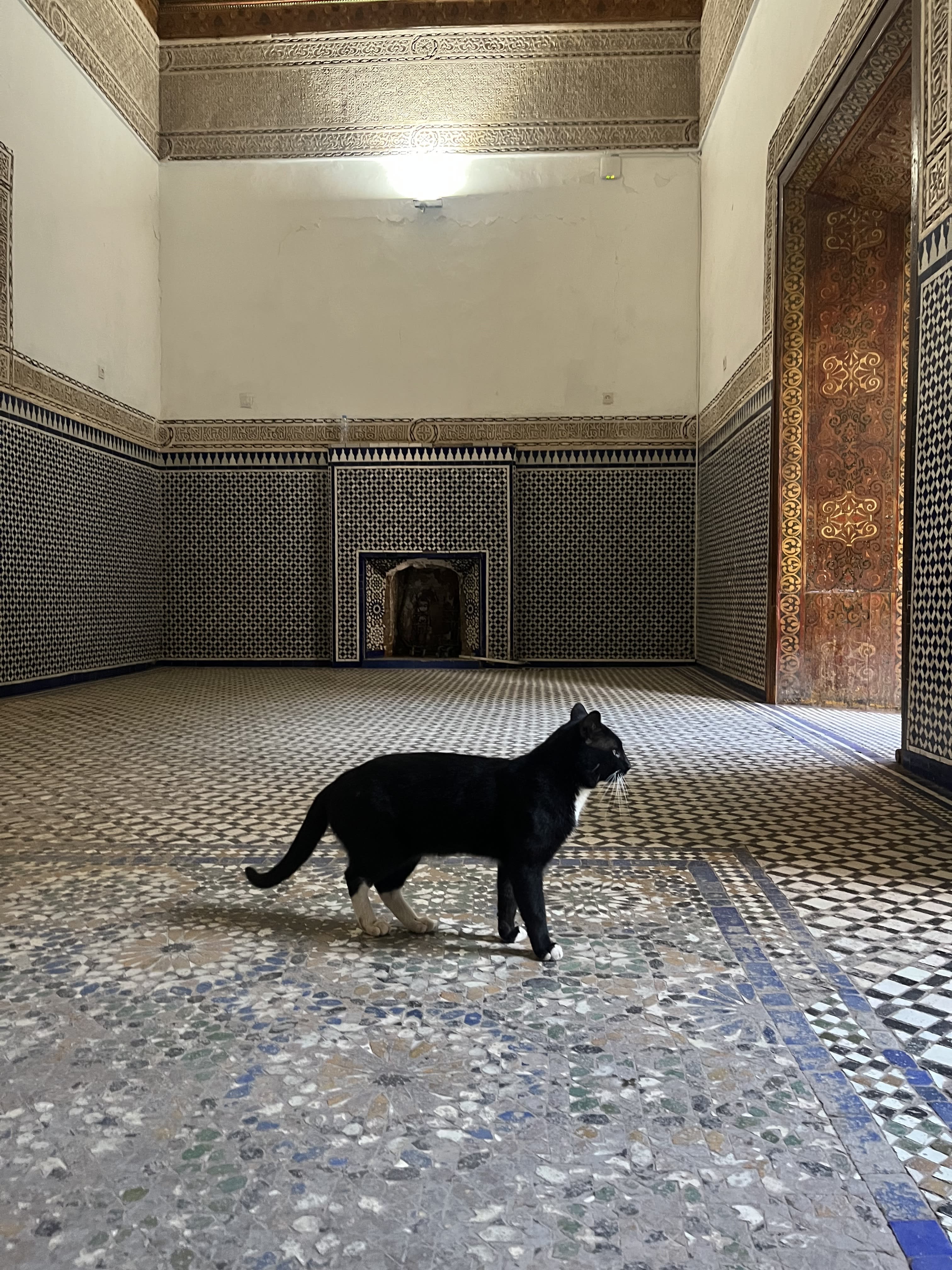 Advisor - See Marrakech: Guide