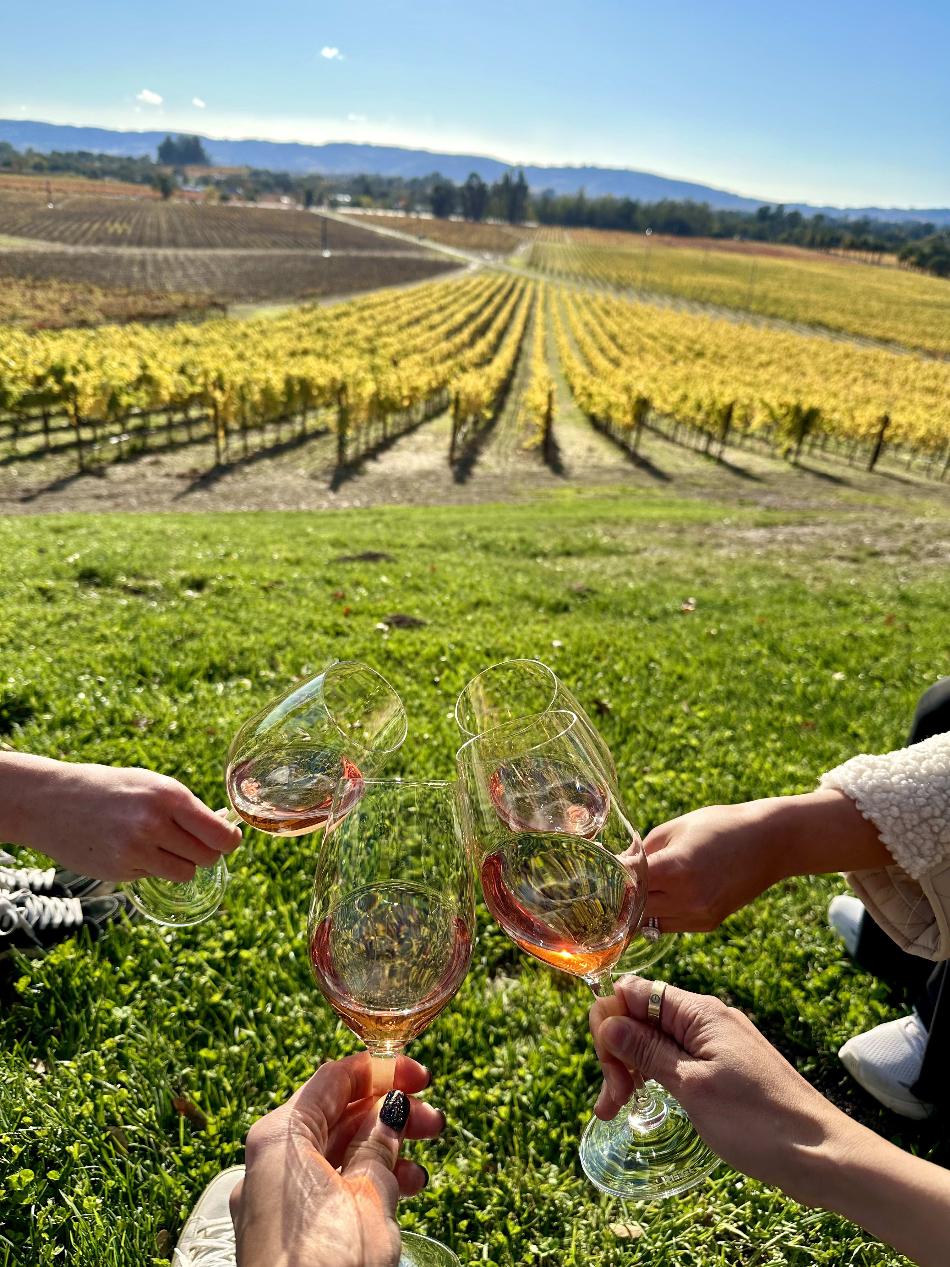 Advisor - Two Towns, One Wine Country: How to Choose Between Sonoma & Healdsburg