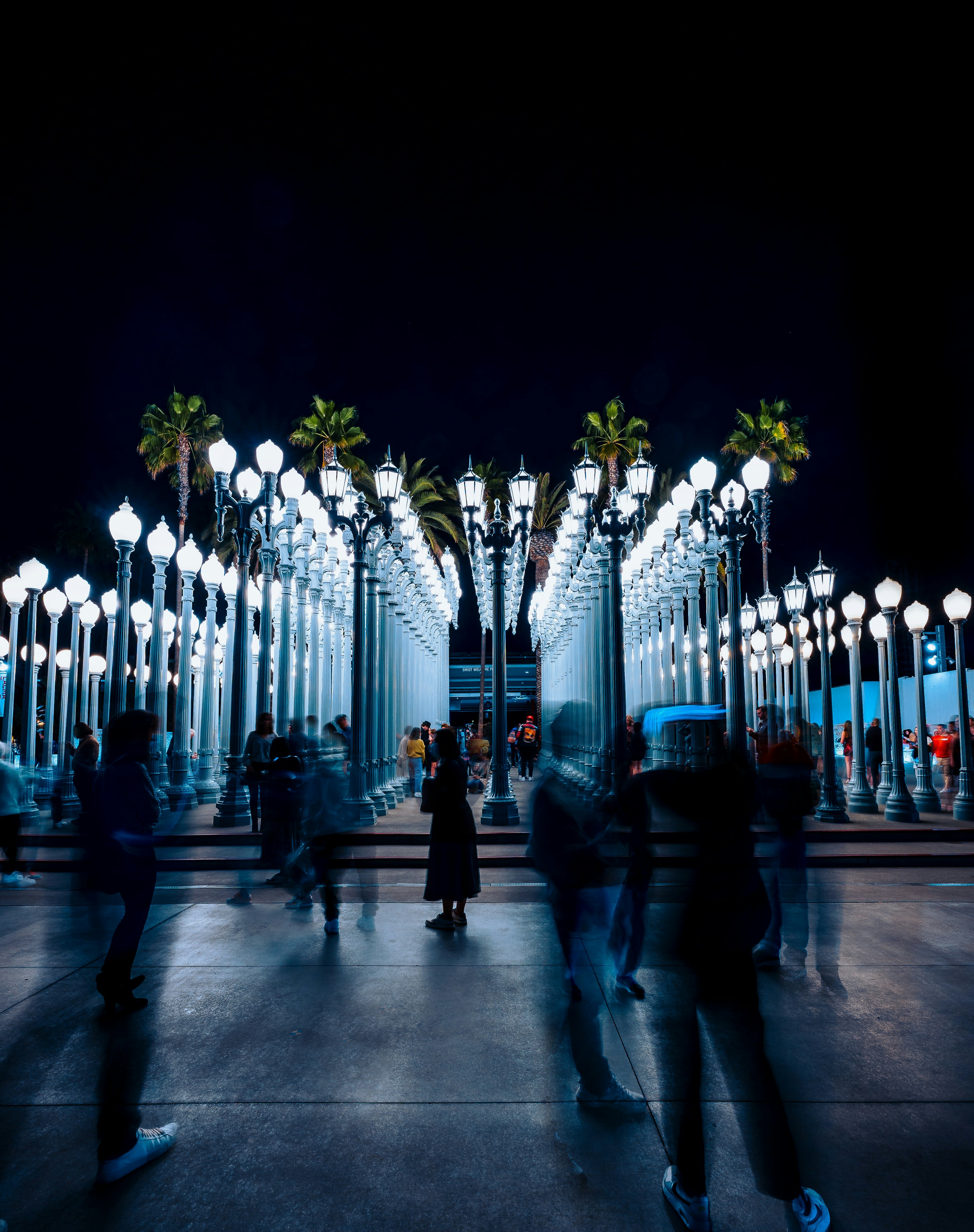 Advisor - Los Angeles for Museum Lovers: A Curated Cultural Journey