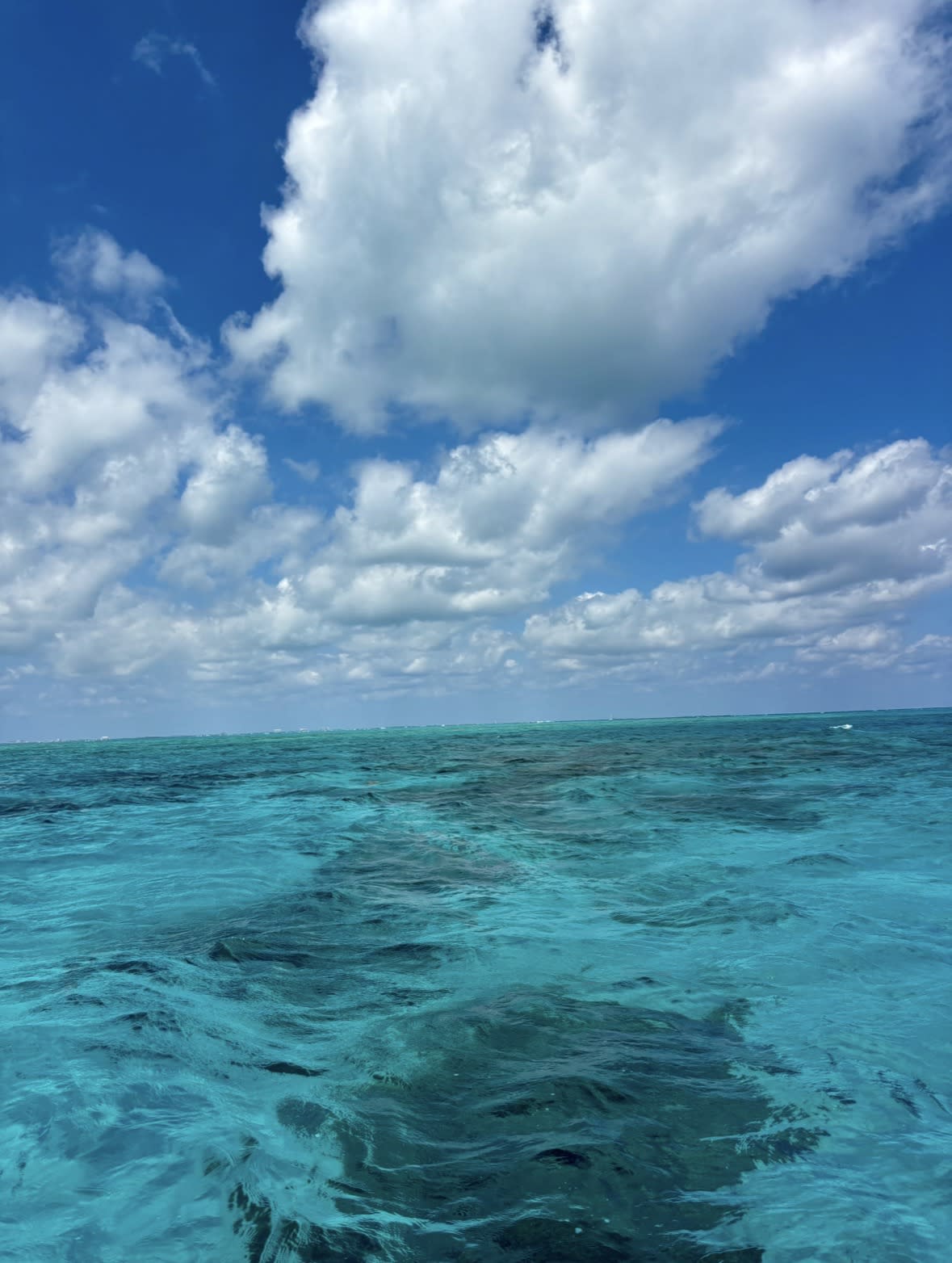 Advisor - Grand Cayman: The Perfect Family Getaway