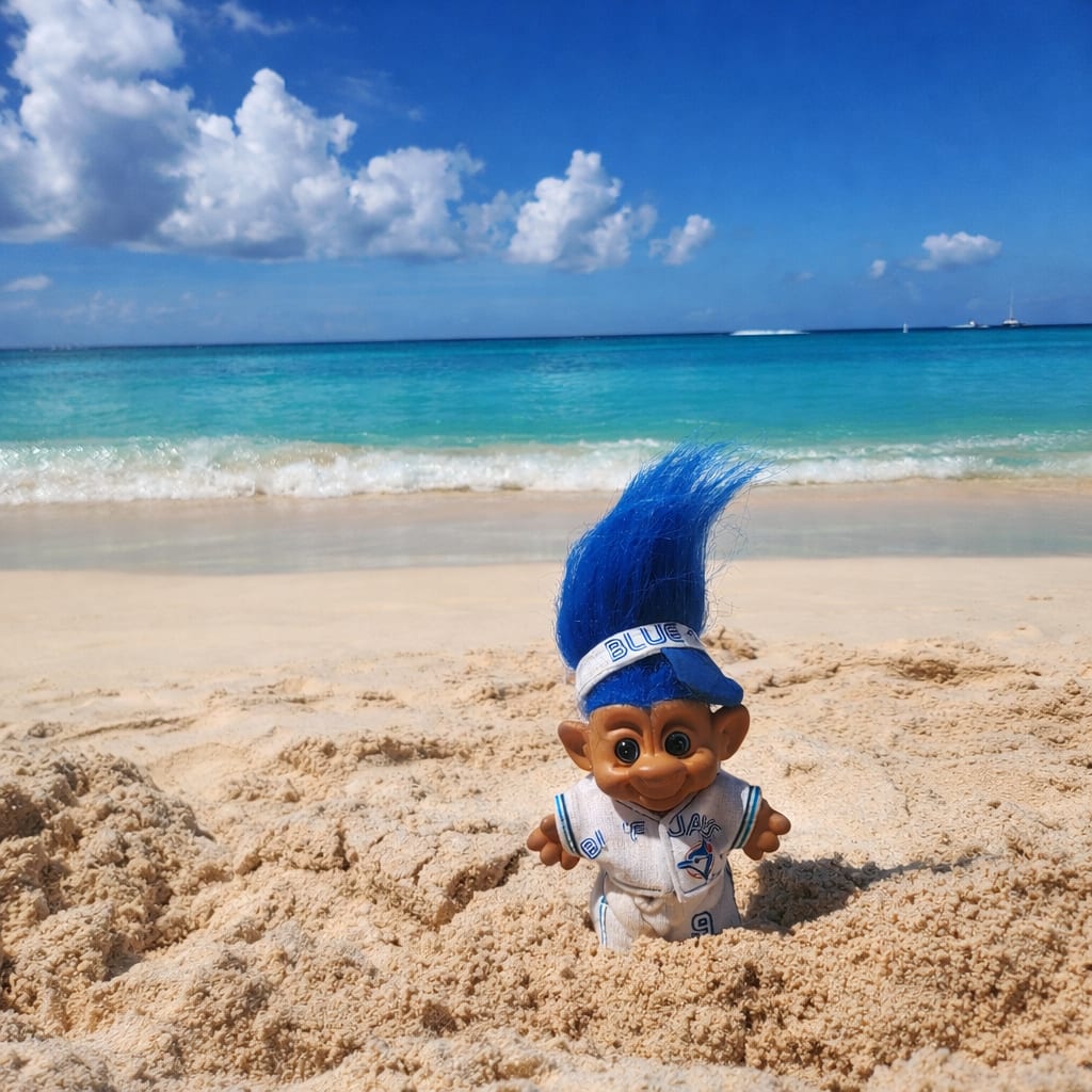 Advisor - Sonny Days & Short Stays in Grand Cayman