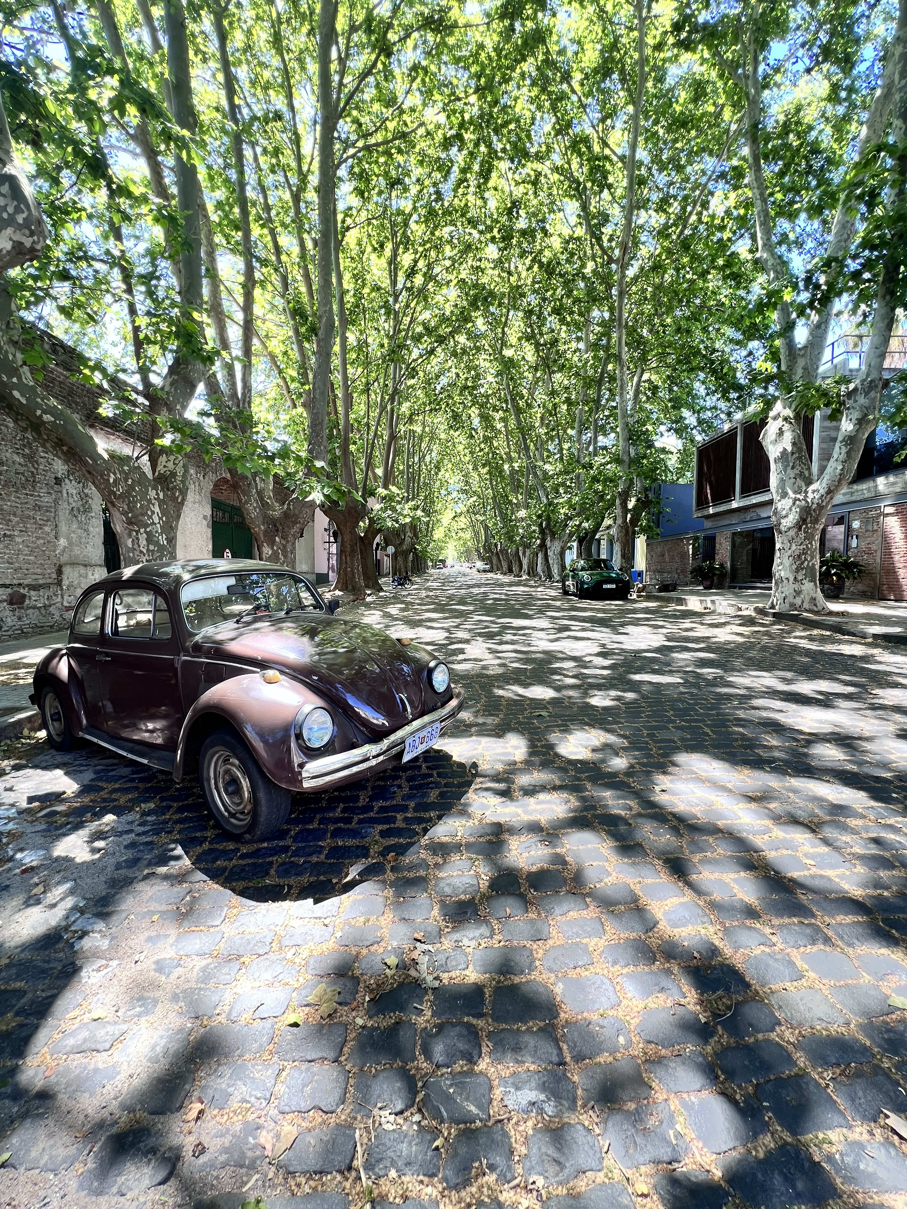 Advisor - The Coast of Uruguay: Culture, Cafés & Clean Beaches